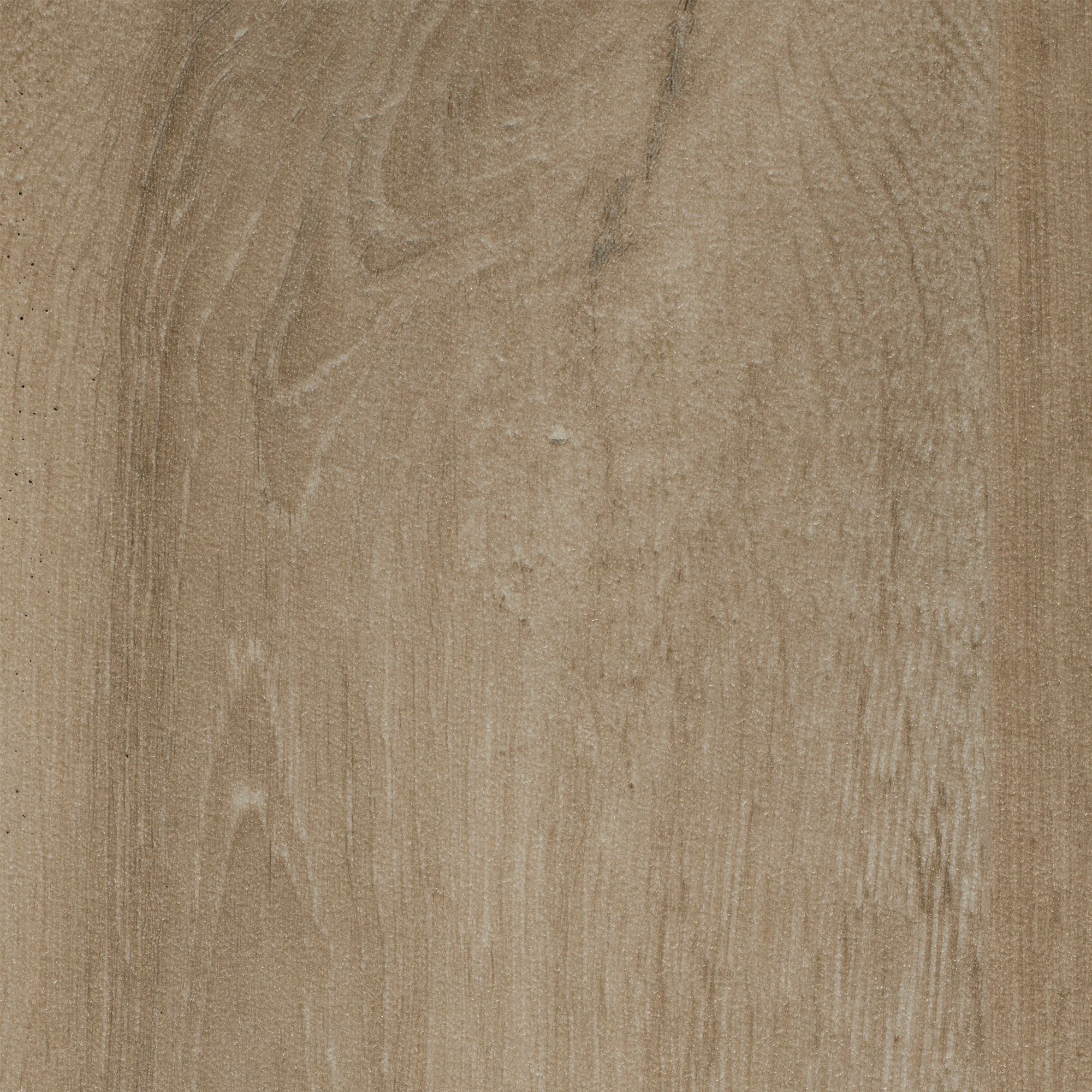 Image of Bodenmeister Vinylboden »PVC Bodenbelag Holzoptik Diele Eiche hell creme grau«, Meterware, Breite 400/500 cm bei Ackermann Versand Schweiz