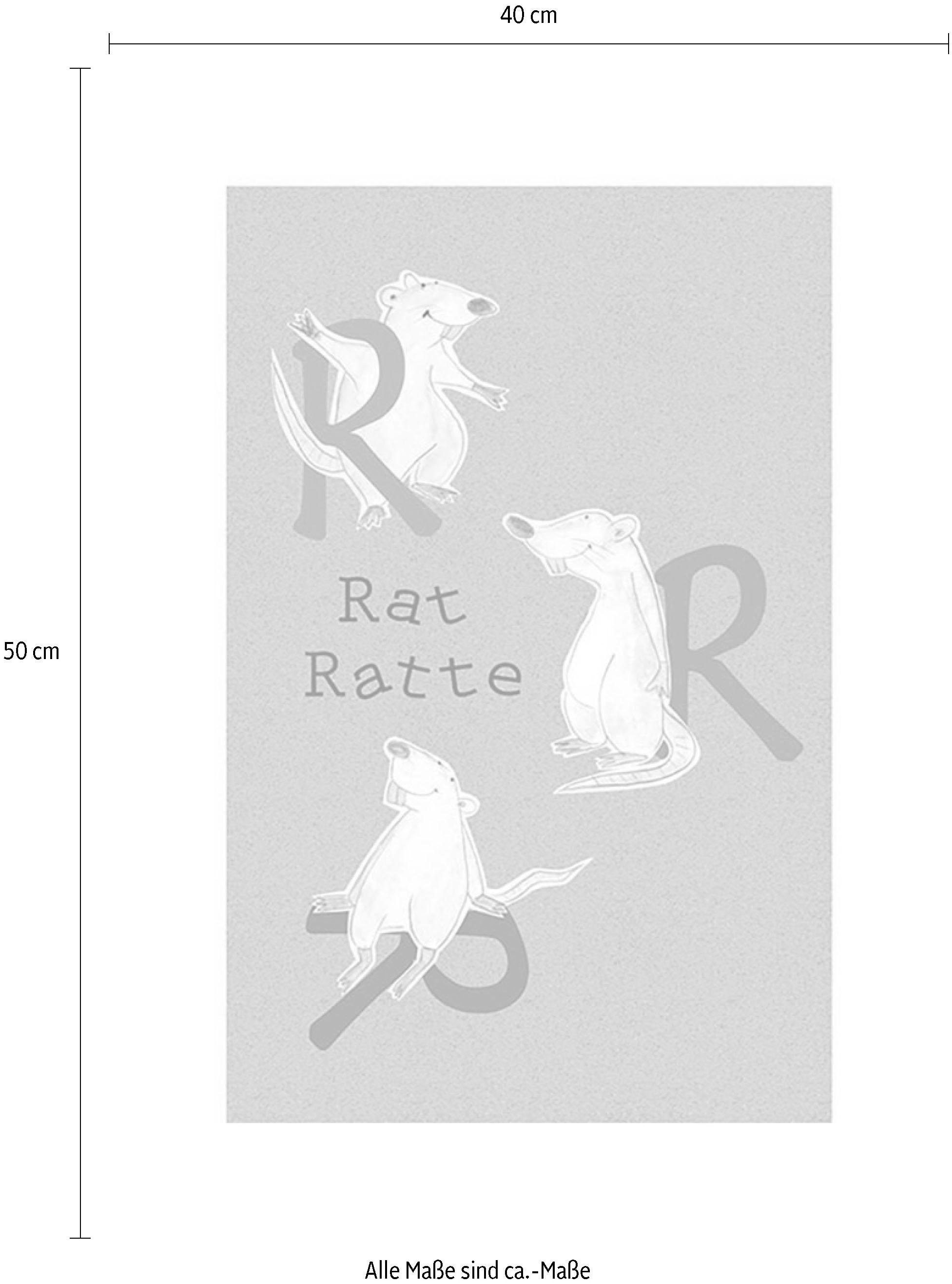 Komar Bild »ABC Animal R« Buchstaben 1 Stk. tlg. Wandbild zur Dekoration - ohne Rahmen