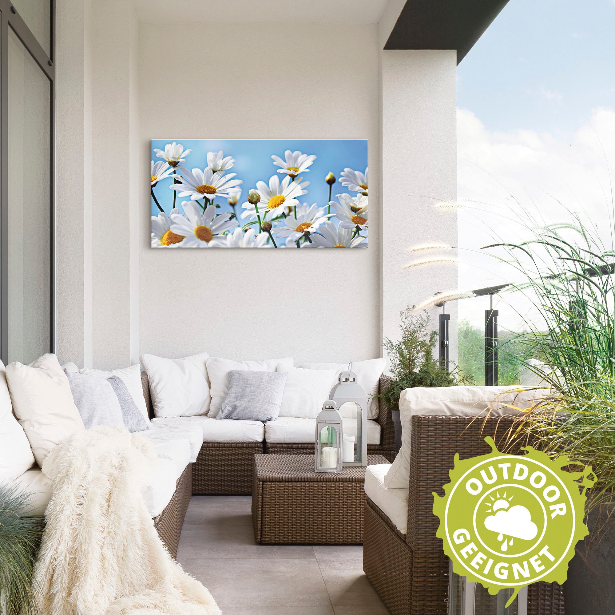 Artland Wandbild »Blumen - Margeriten«, Blumen, (1 St.), als Alubild, Outdoorbild, Leinwandbild in verschied. Grössen