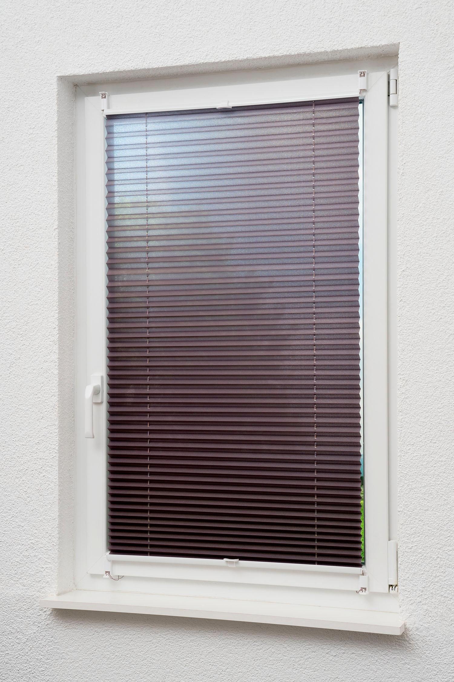 Image of sunlines Plissee »One size Style Crush«, Lichtschutz, ohne Bohren, verspannt, mit Klemmträgern bei Ackermann Versand Schweiz