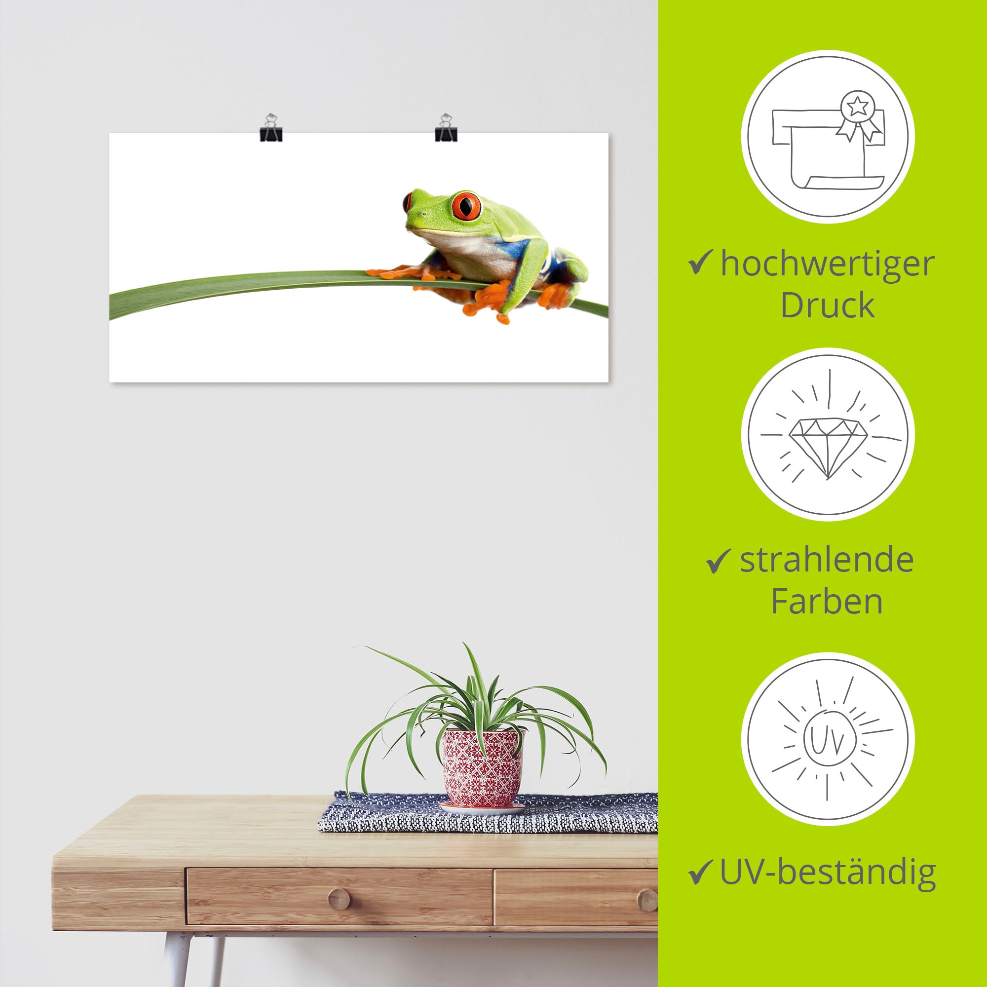 Artland Wandbild »Frosch auf einem Blatt« Wassertiere 1 Stk. tlg. als Leinwandbild, Poster in verschied. Grössen