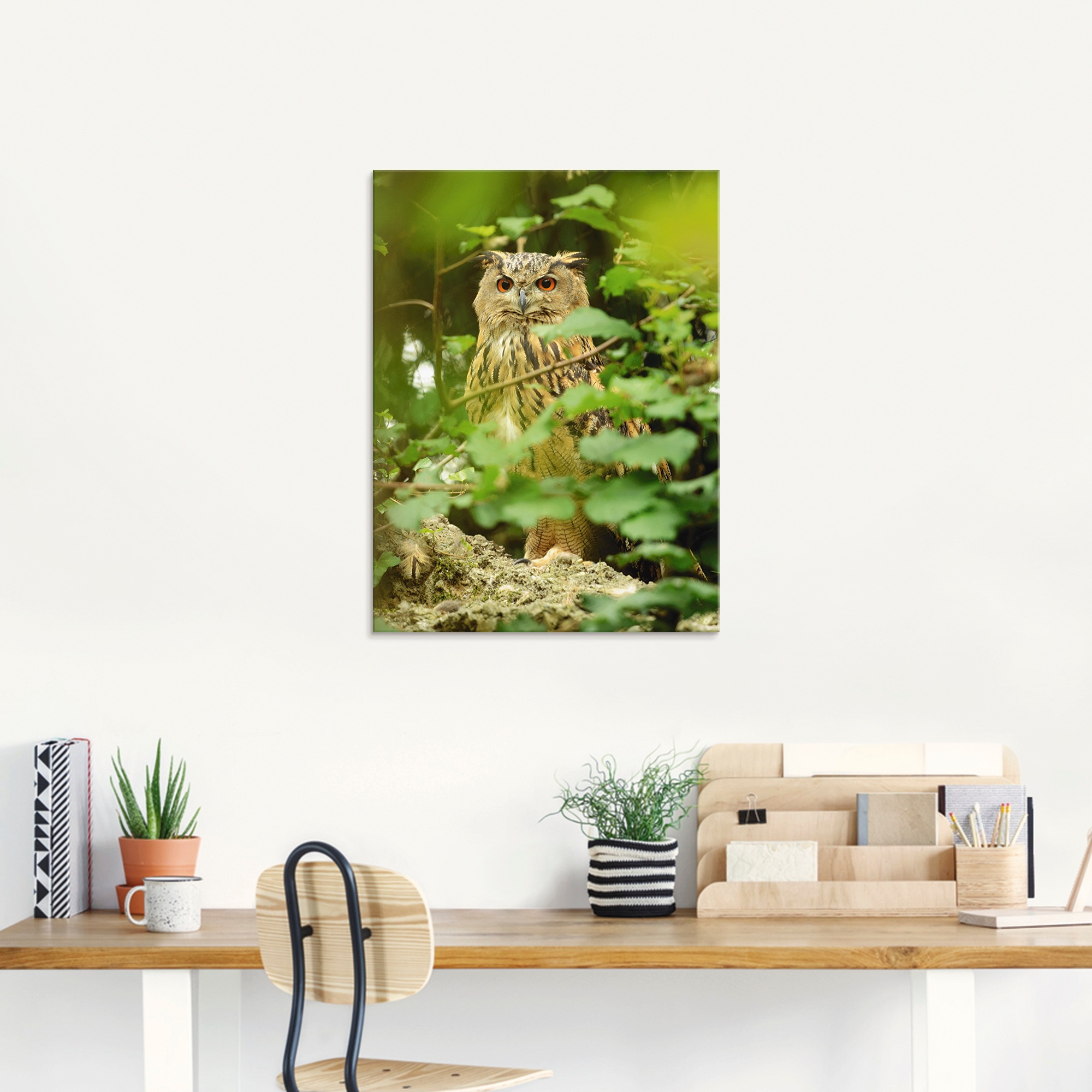 Artland Glasbild »Vogel Uhu« Vögel 1 Stk. tlg. in verschiedenen Grössen
