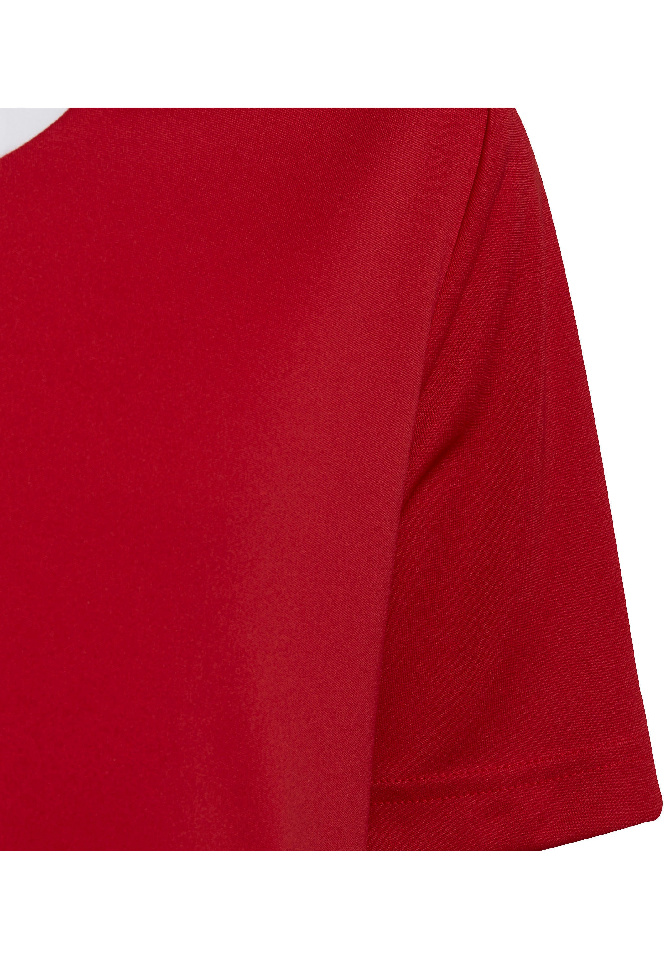 adidas Performance Fussballtrikot »ENT22 JSY Y«