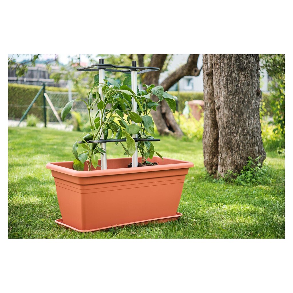 Gusta Garden Rankhilfe »CHILI BUDDY Rankhilfe für Chilis & Paprika im 3erSetSilberfarben«