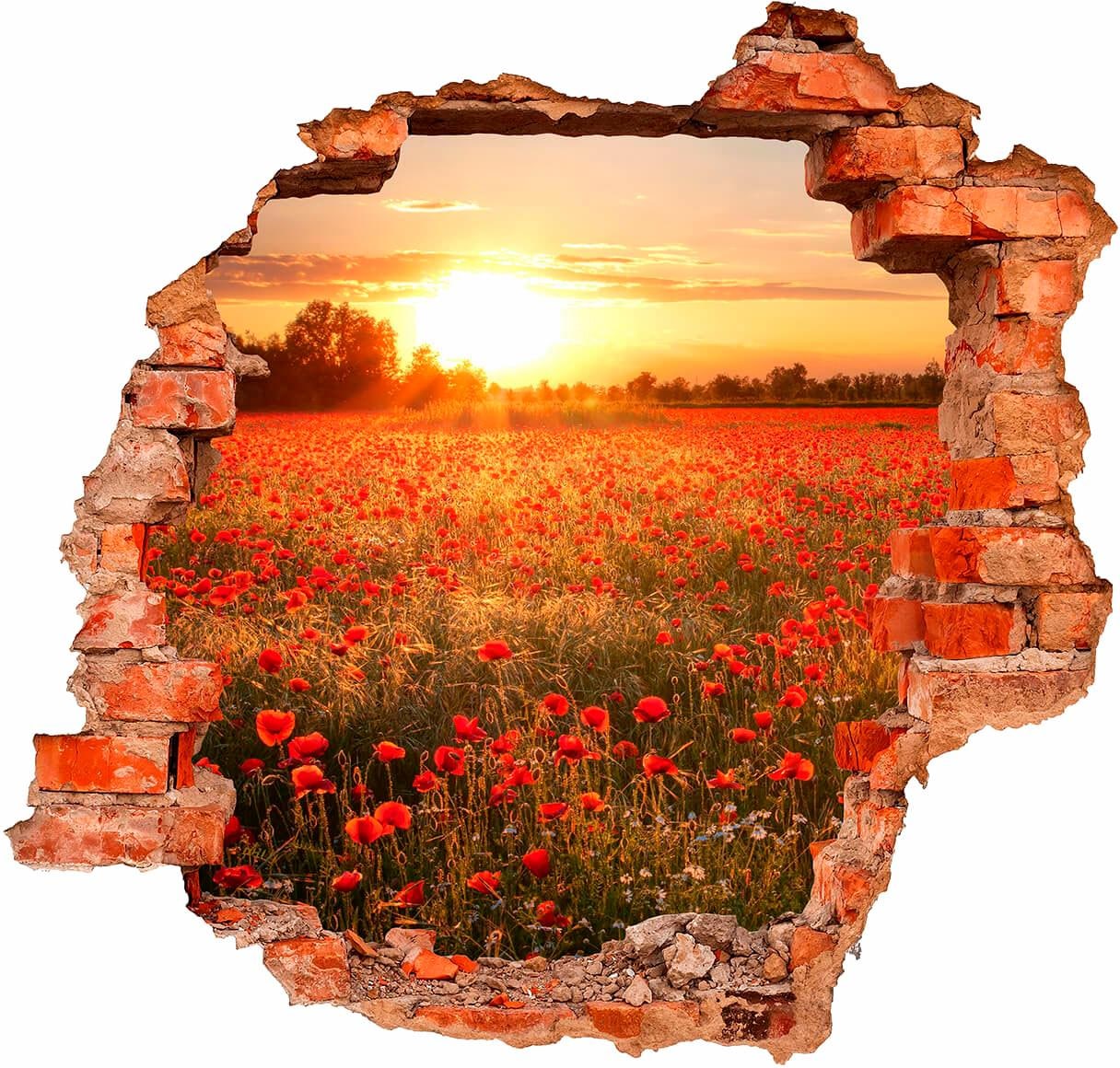 Image of Wall-Art Wandtattoo »Mohnfeld im Sonnenuntergang« bei Ackermann Versand Schweiz