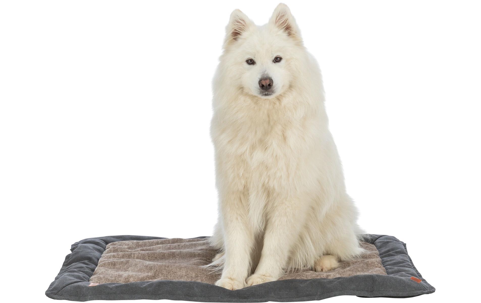 TRIXIE Hundematte »Föhr 100 x 70 cm«