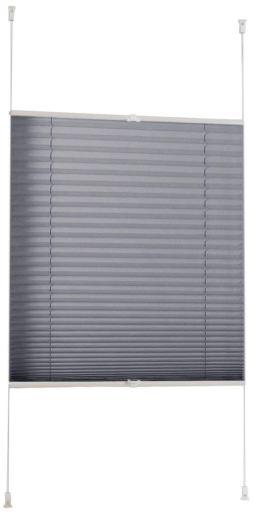 Image of Liedeco Plissee »Klemmfix-Plissee«, Lichtschutz, ohne Bohren, verspannt bei Ackermann Versand Schweiz