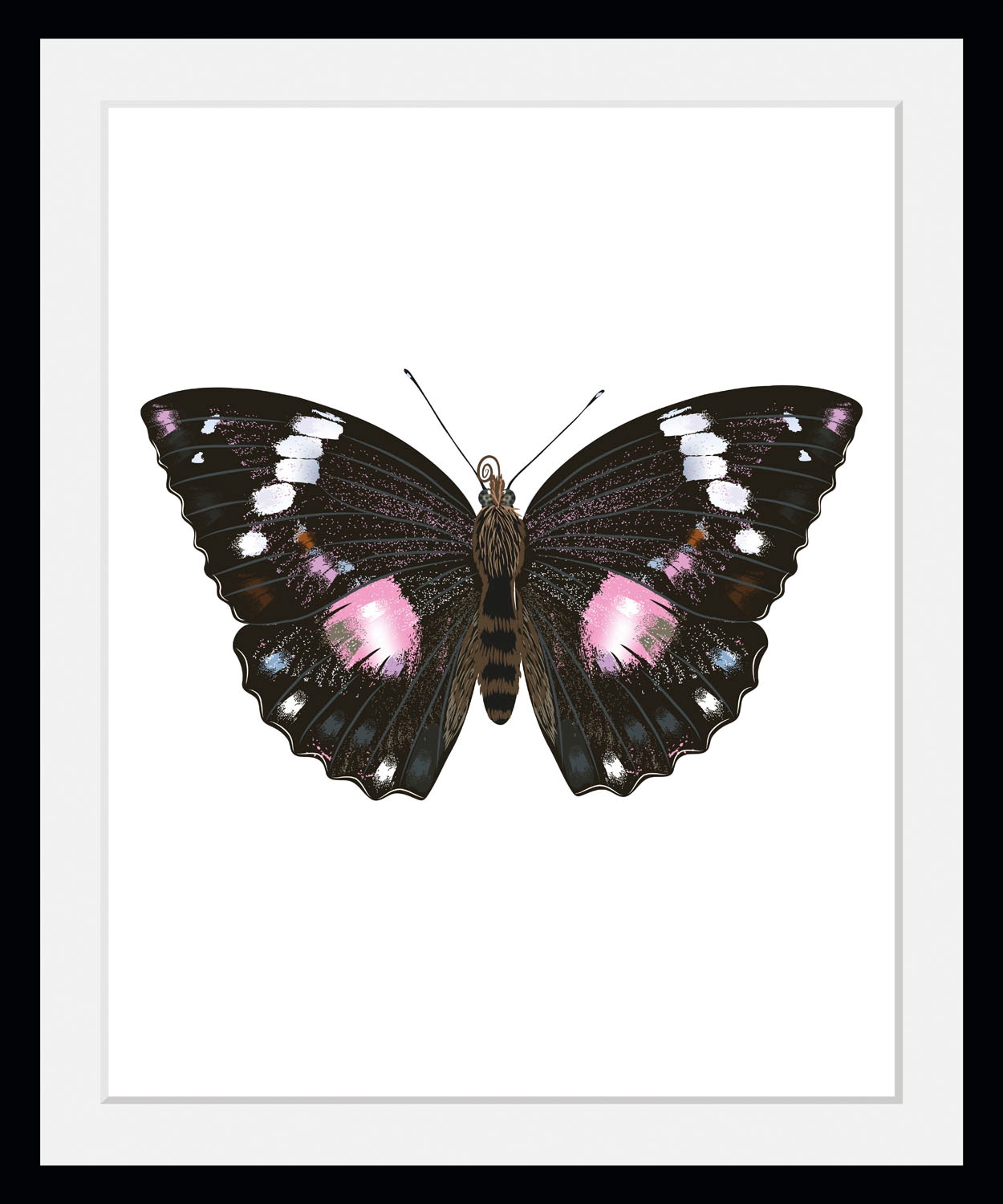 Image of queence Bild "Marissa" Insekten Kunst Schmetterlinge historische Ereignisse 1 Stk. tlg. HD Premium Poster-Druck inkl. Holzrahmen