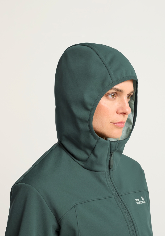 Jack Wolfskin Softshelljacke »WINDHAIN 2 HOODY W« wasserabweisend, windabweisend, wärmeisolierend
