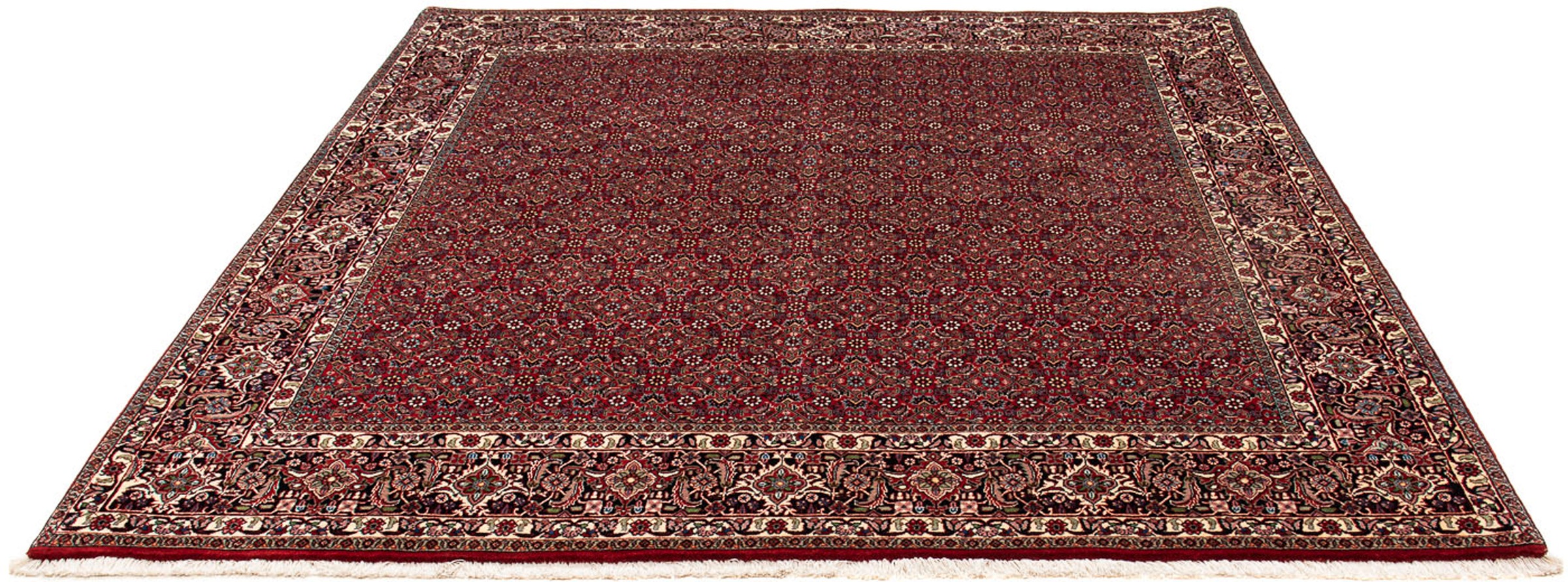 Image of morgenland Orientteppich »Perser - Bidjar quadratisch - 205 x 205 cm - dunkelrot«, quadratisch, 15 mm Höhe, Wohnzimmer, Handgeknüpft, Einzelstück mit Zertifikat bei Ackermann Versand Schweiz
