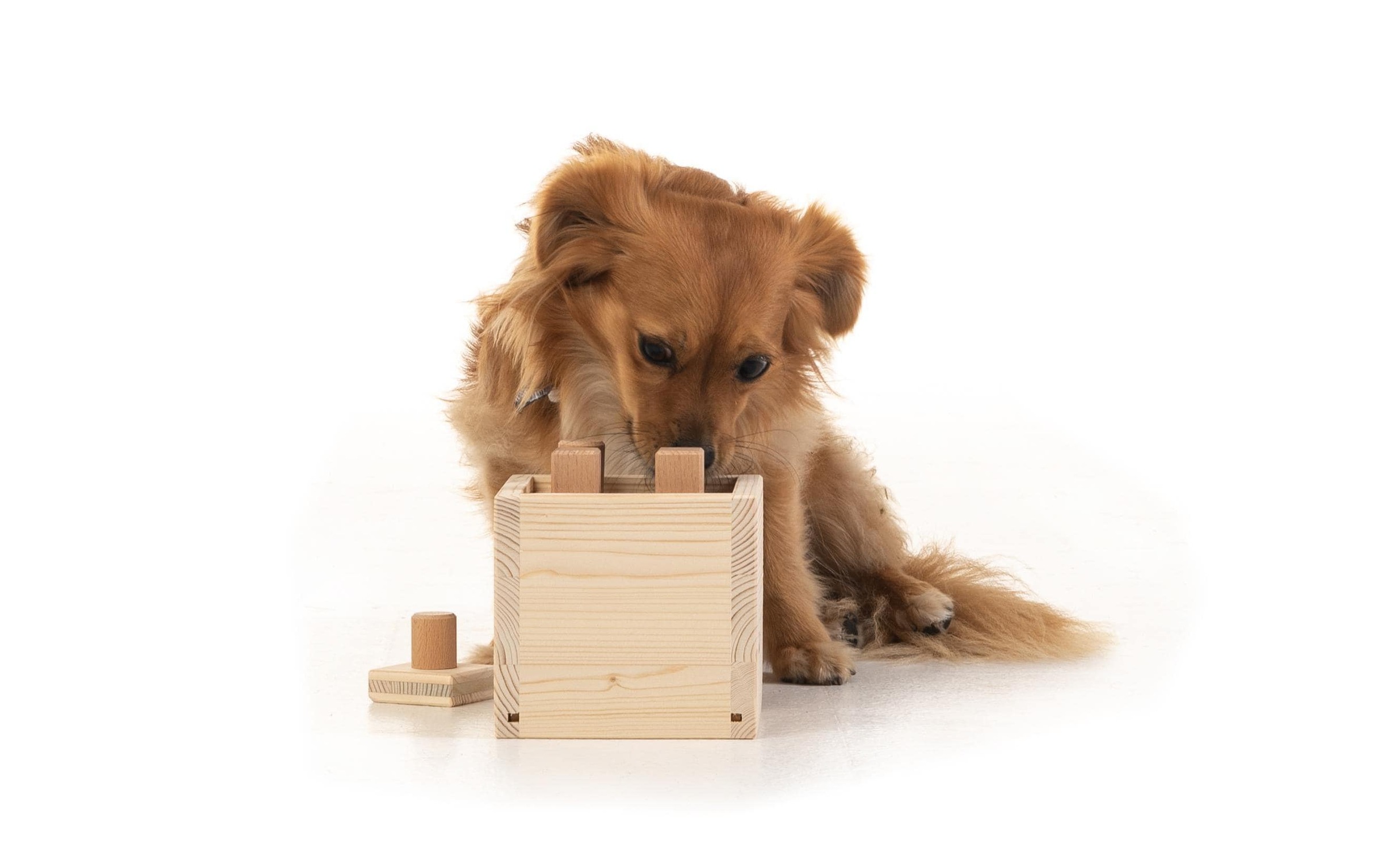 Tier-Intelligenzspielzeug »Hundespiele.ch Babuschka, mittelschwer«, Holz, Holzart: Buche, Fichte (Deutschland)