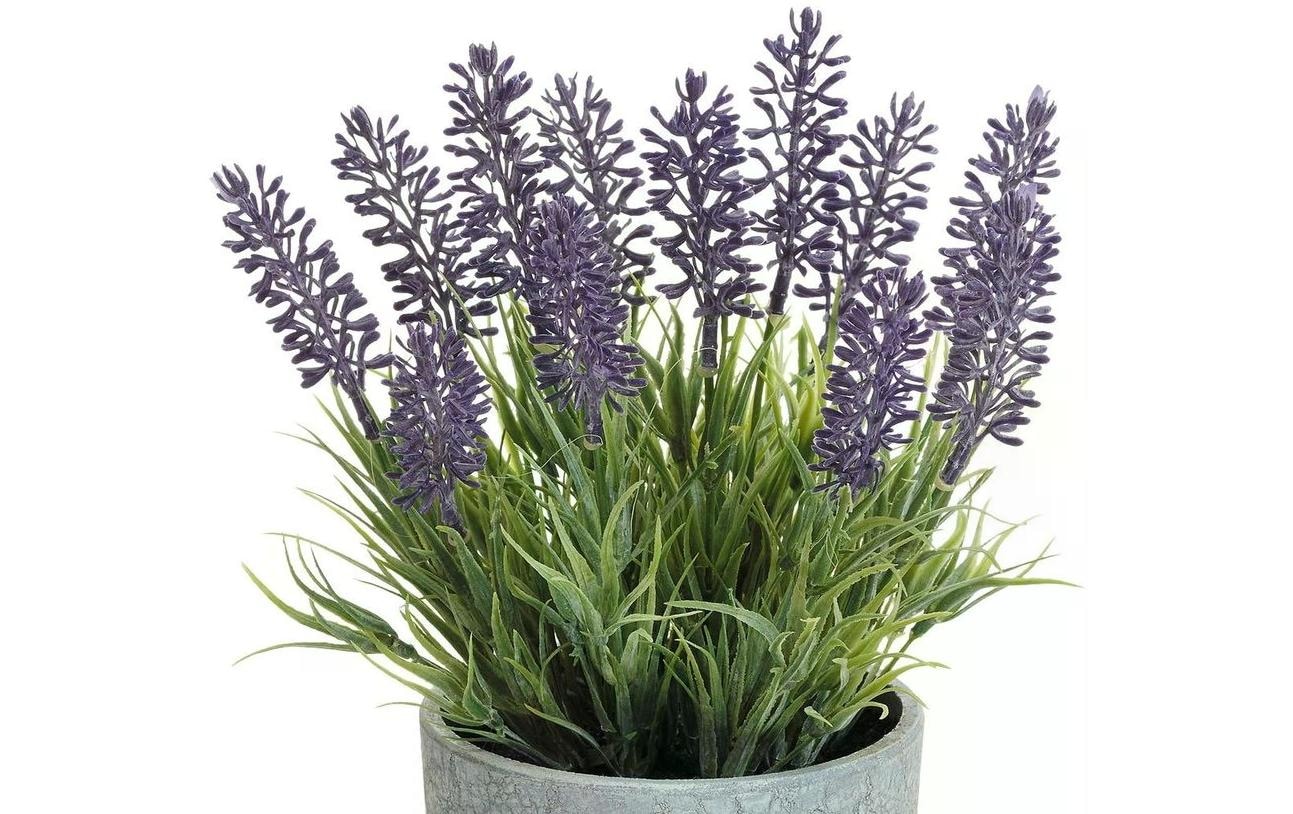Kunstblume »Dekomat AG Lavendel im Topf 22 cm«
