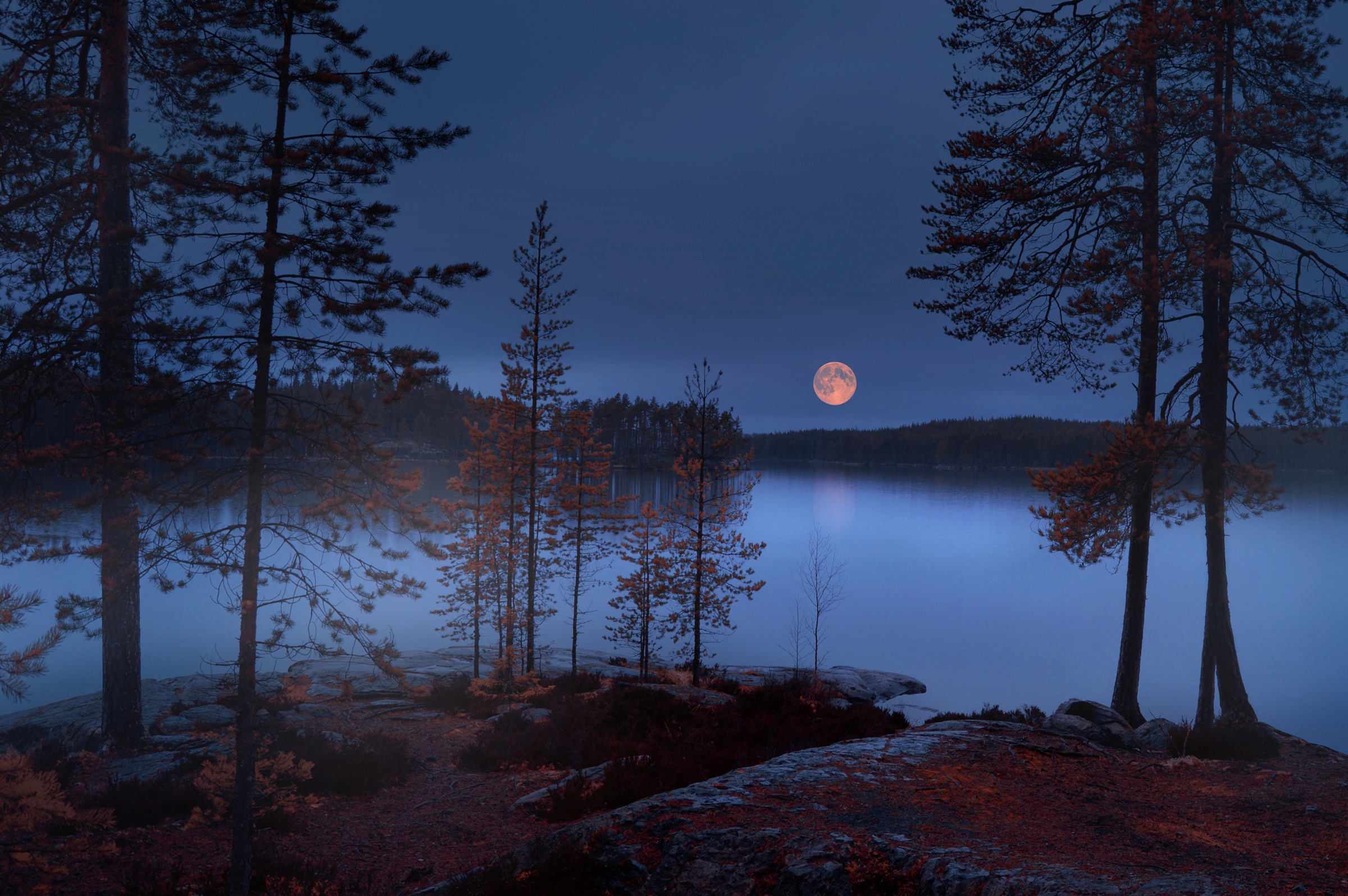 Image of Papermoon Fototapete »Photo-Art NIKKI GEORGIEVA V, ROTER MOND«, Vliestapete, hochwertiger Digitaldruck, inklusive Kleister bei Ackermann Versand Schweiz