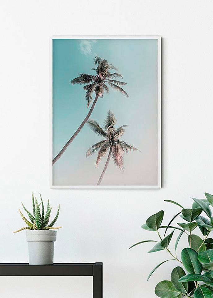 ♕ Komar Poster »Miami Palms«, Pflanzen-Blätter, (Packung, 1 St., Anzahl  Teile 1), Kinderzimmer, Schlafzimmer, Wohnzimmer versandkostenfrei auf