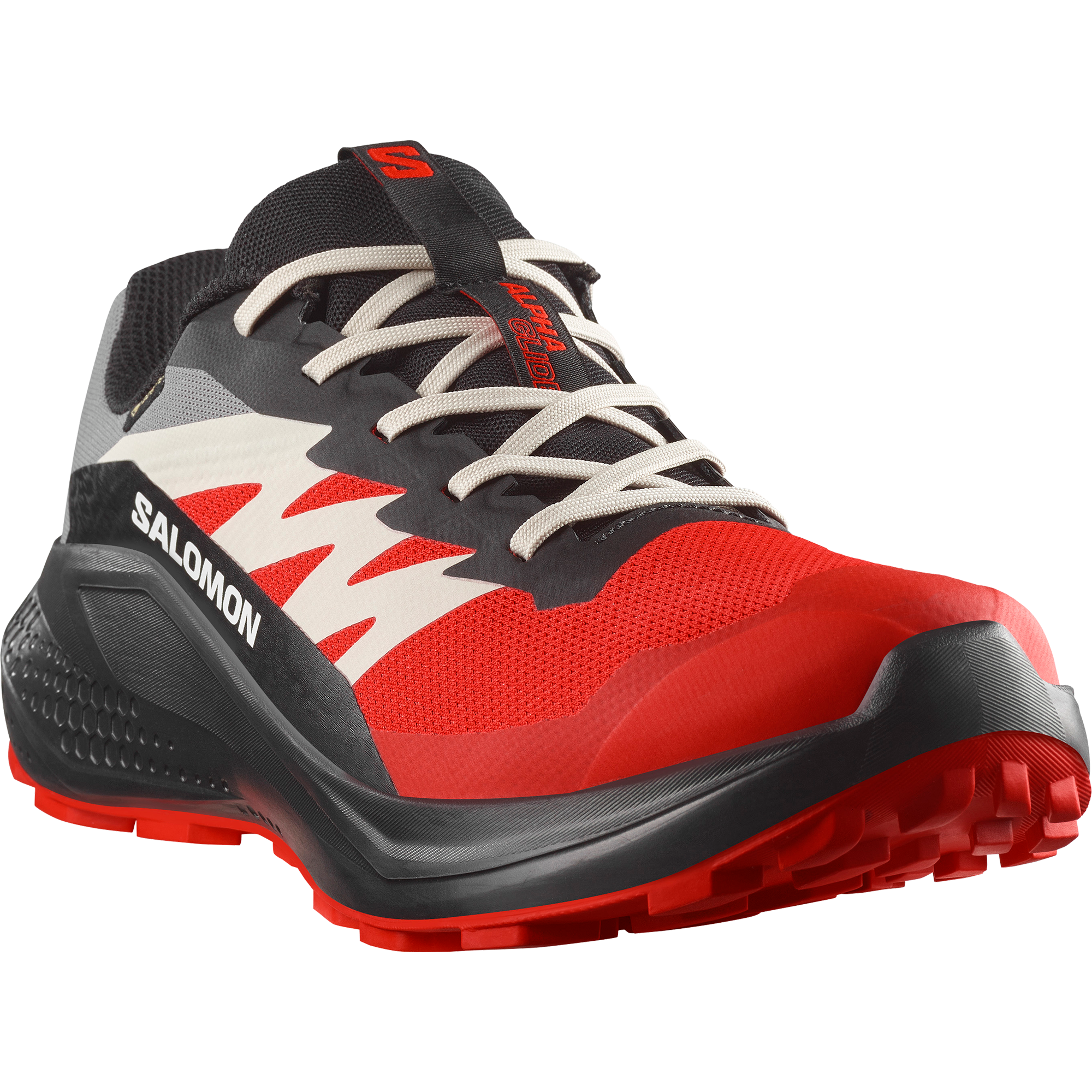 Image of Salomon Laufschuh "ALPHAGLIDE GORE-TEX" wasserdicht