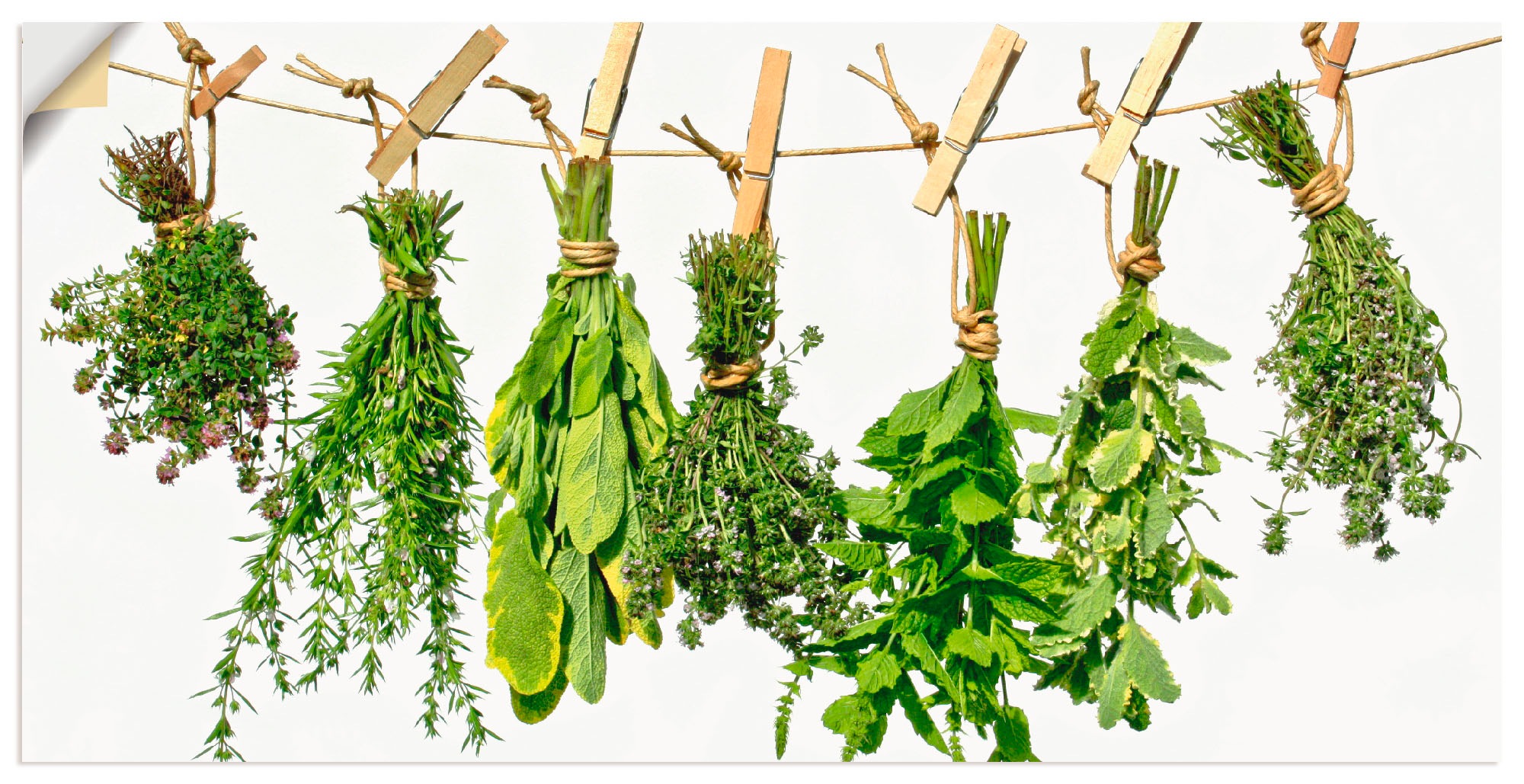 Image of Artland Wandbild »Kräuter«, Pflanzen, (1 St.), in vielen Grössen & Produktarten - Alubild / Outdoorbild für den Aussenbereich, Leinwandbild, Poster, Wandaufkleber / Wandtattoo auch für Badezimmer geeignet bei Ackermann Versand Schweiz