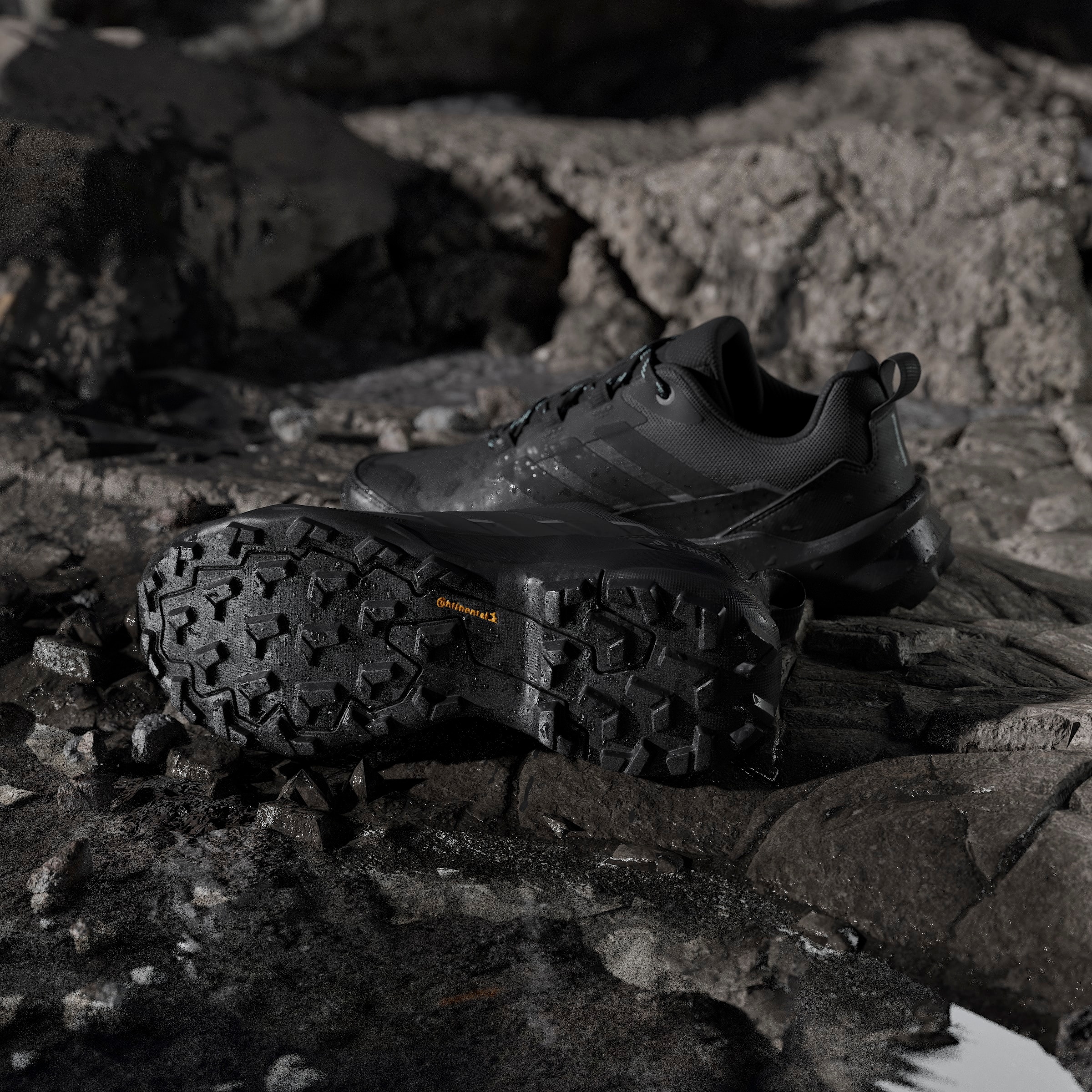 adidas TERREX Wanderschuh »TERREX SKYCHASER AX5 GORE-TEX«  wasserdicht dank Gore-Tex Membrane