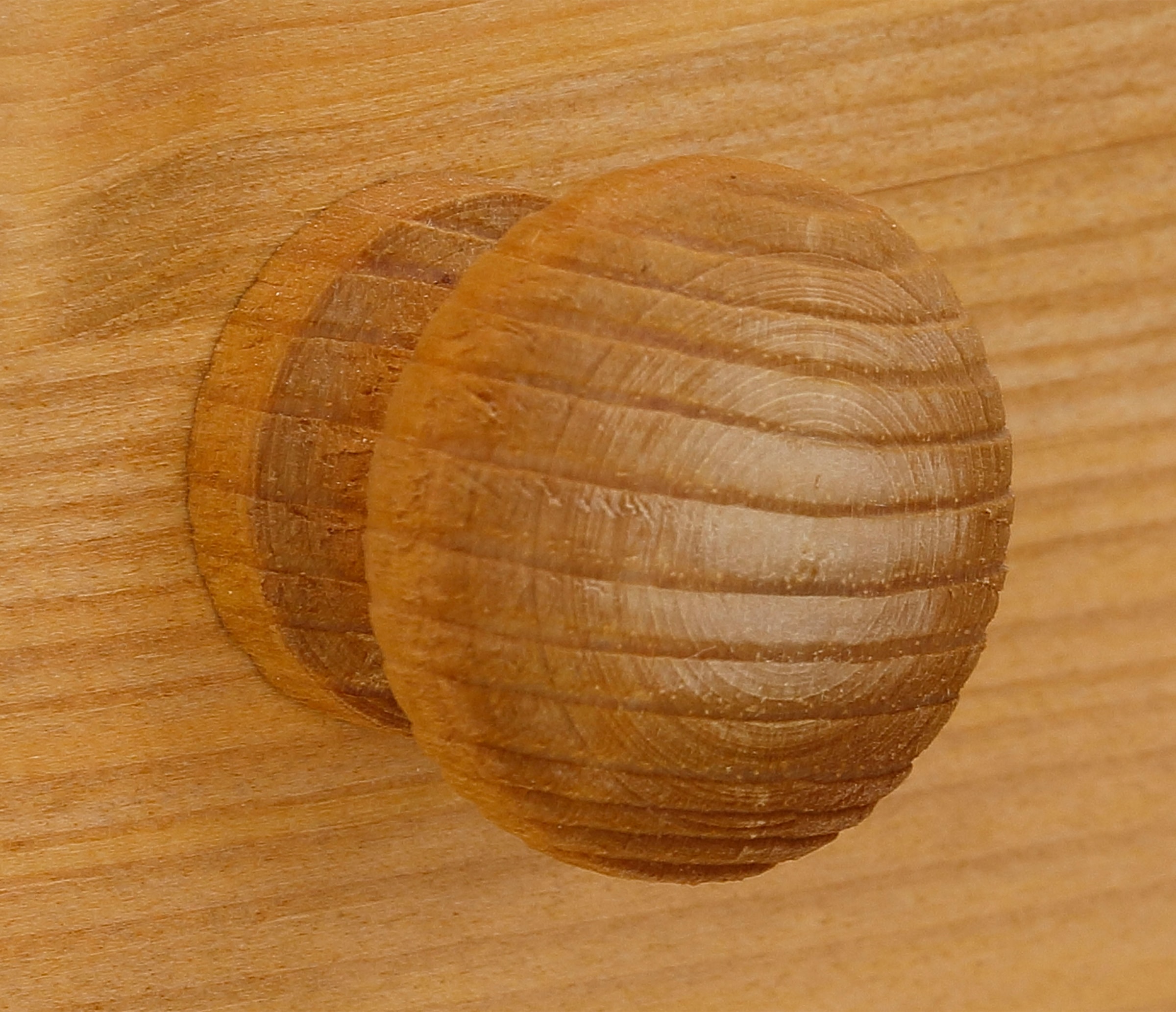 Home affaire Wäscheschrank »Minik« mit geschwungenem Fusssockel, in drei verschiedenen Farbvarianten