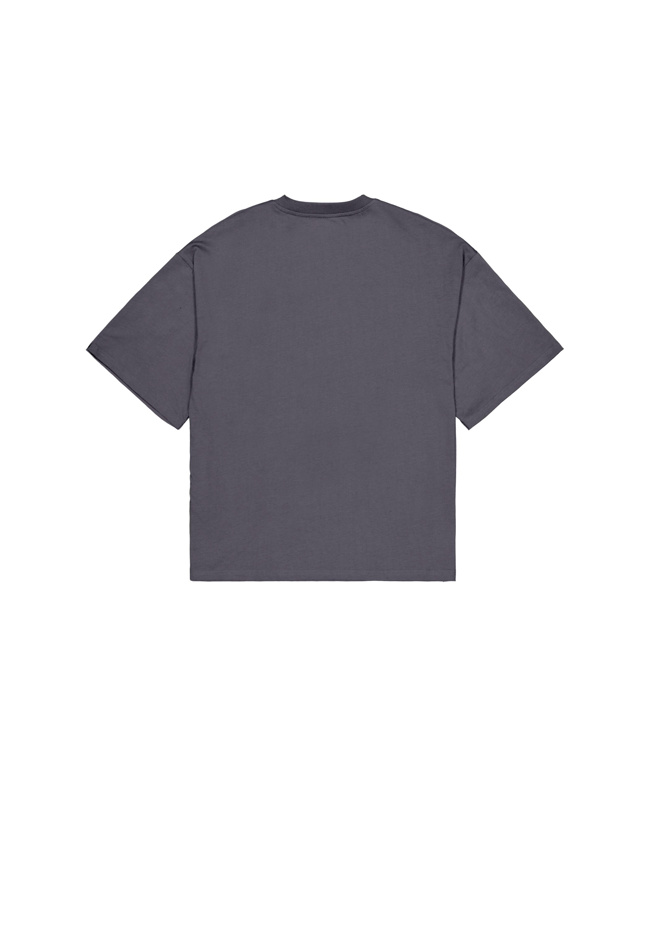 Alpha Industries T-shirt »Studio Edition Vibe T-Shirt«