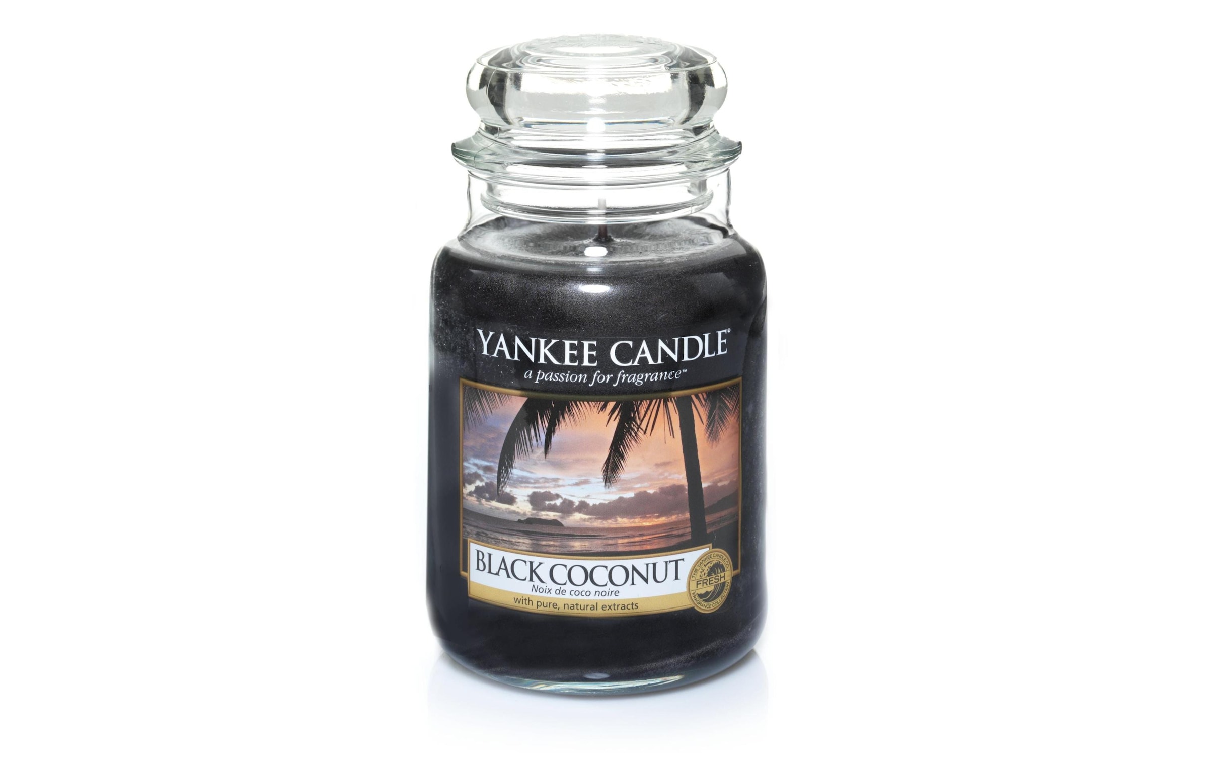 Yankee Candle Duftkerze »Black Coconut«