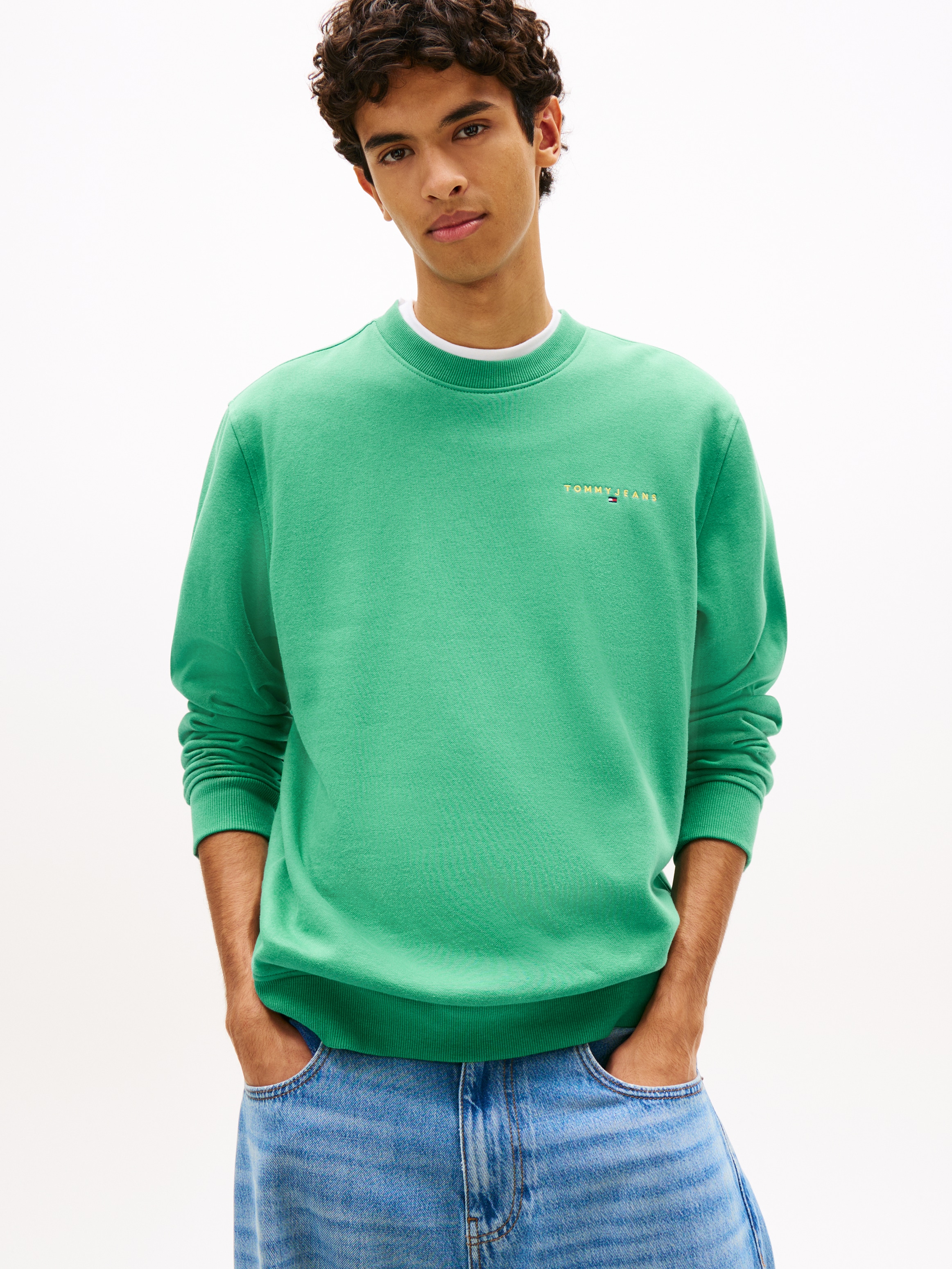 Image of Tommy Jeans Sweatshirt "TJM REG LINEAR CREW EXT", mit Logostickerei