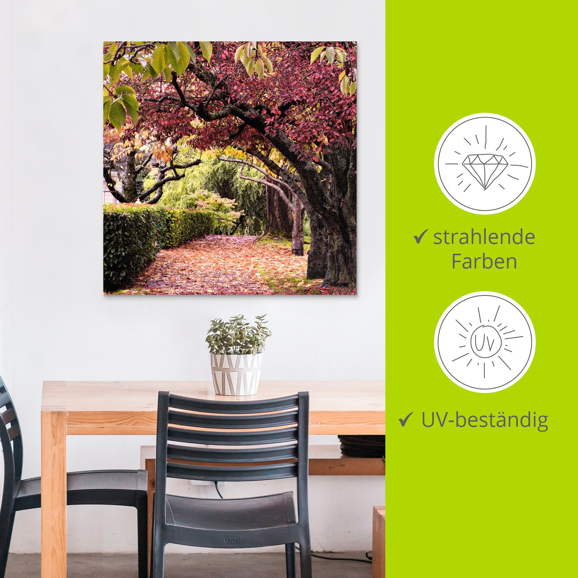 Artland Wandbild »Baumbogen«, Bäume, (1 St.), als Alubild, Outdoorbild, Leinwandbild, Poster in verschied. Grössen