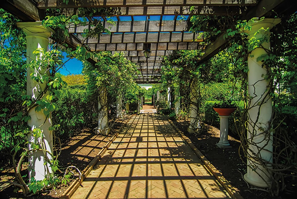 Image of Papermoon Fototapete "Garden Walkway" glatt