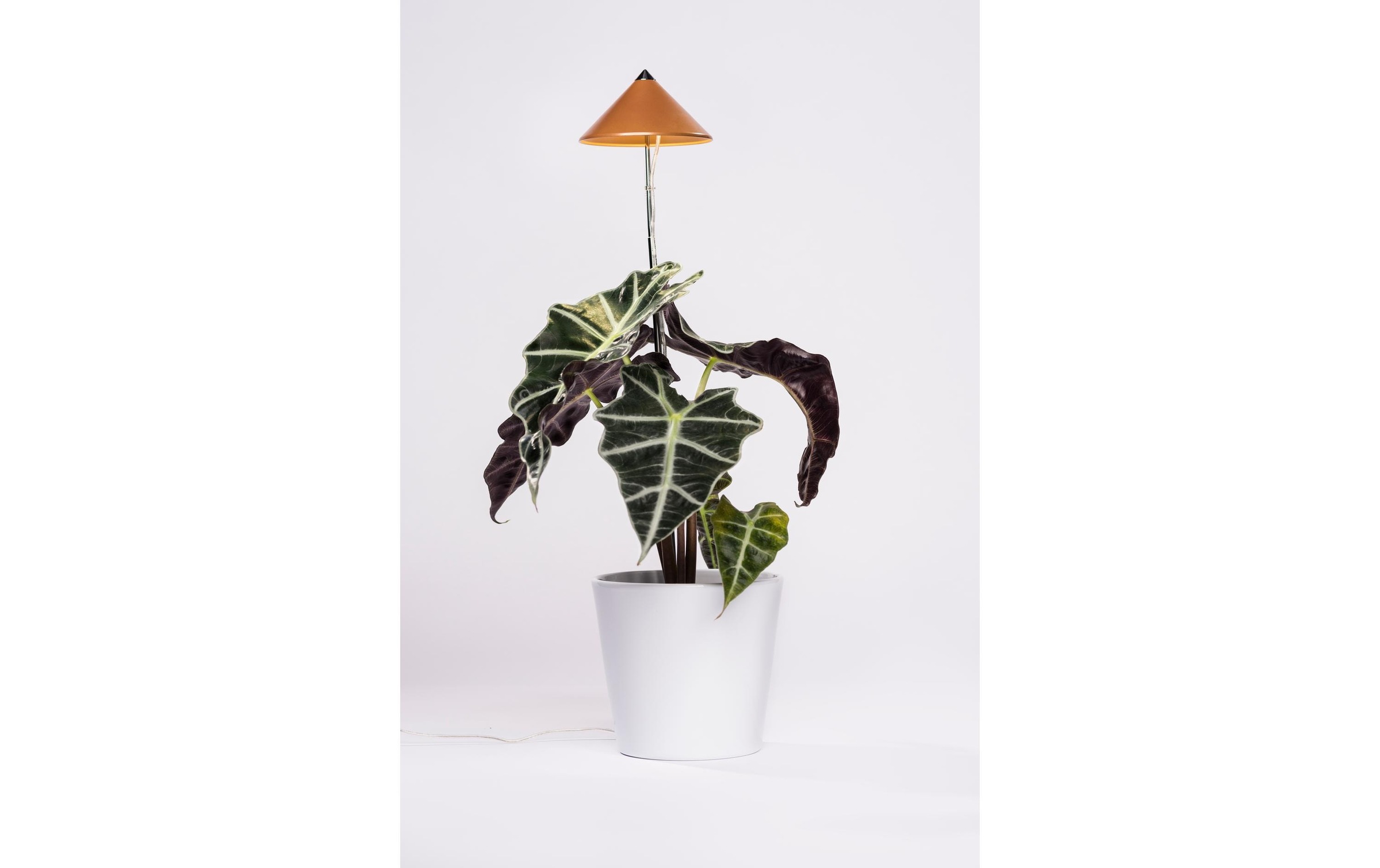 Pflanzenlampe »Neogard SunLite Kupfer, 7W«