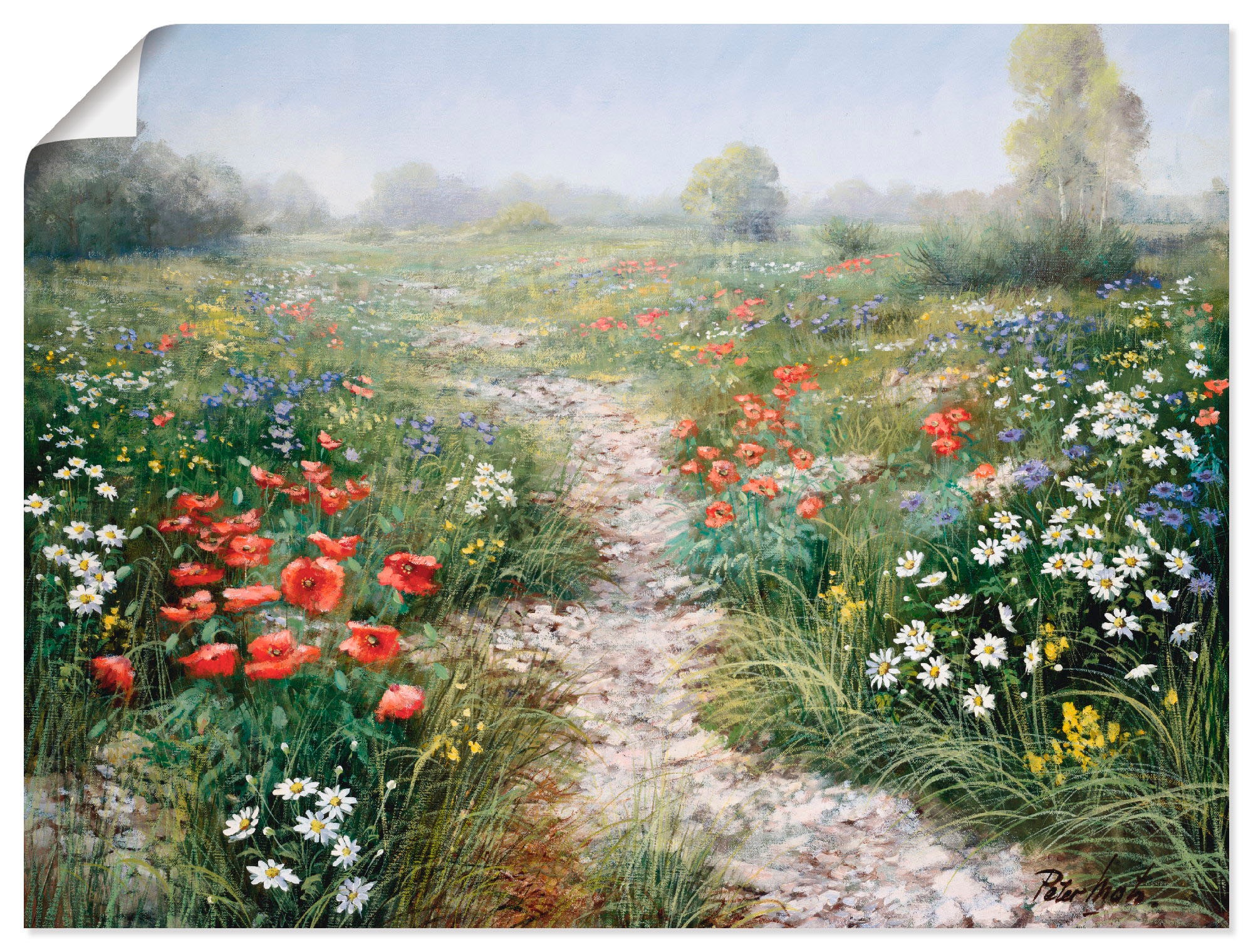 Image of Artland Wandbild »Dichte der Natur«, Blumenwiese, (1 St.), in vielen Grössen & Produktarten -Leinwandbild, Poster, Wandaufkleber / Wandtattoo auch für Badezimmer geeignet bei Ackermann Versand Schweiz
