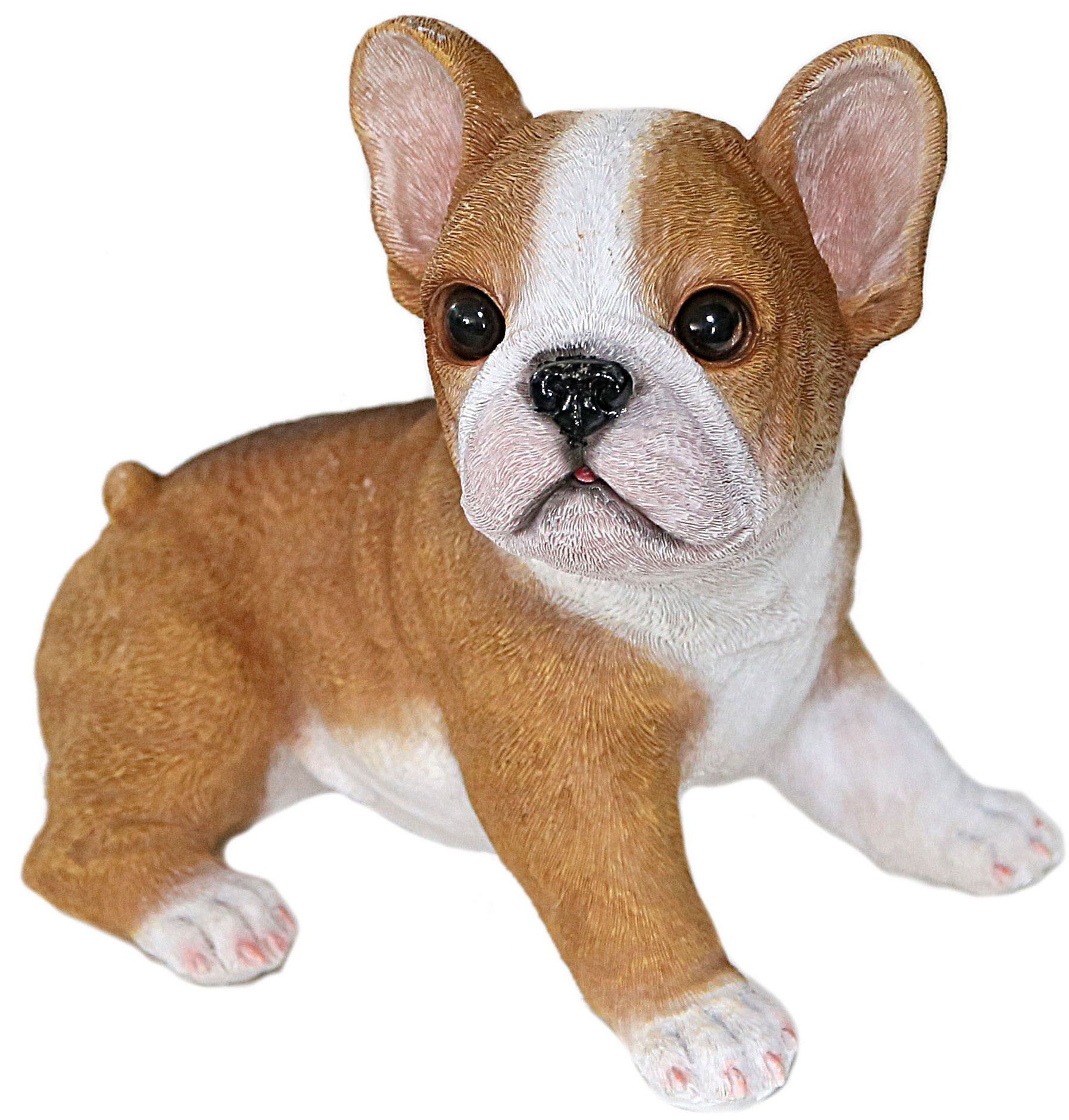 Image of Casa Collection by Jänig Tierfigur »Bulldoge sitzend, Breite ca: 19,8cm«, (1 St.) bei Ackermann Versand Schweiz