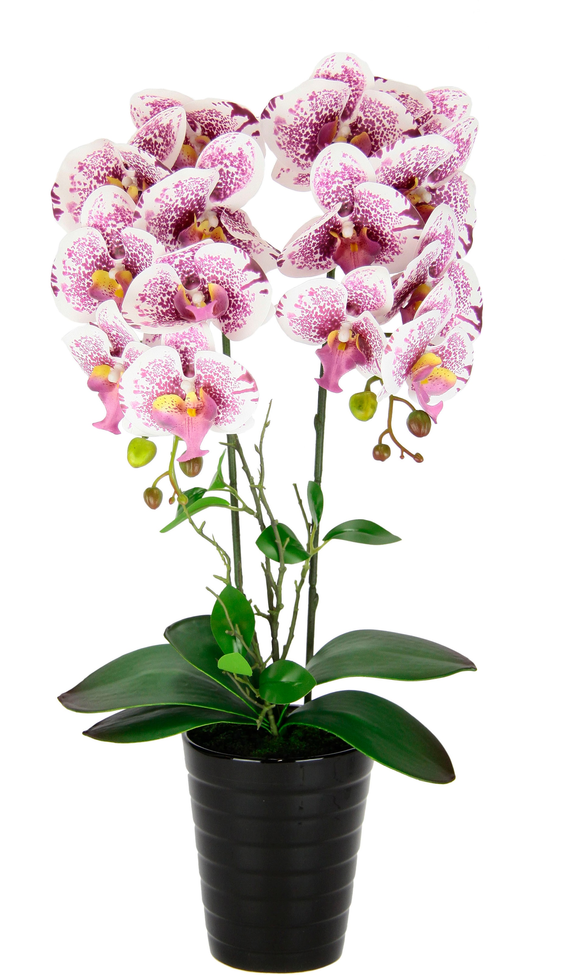 I.GE.A. Kunstblume »Orchidee«, Im Topf Phalaenopsis Orchidee Phalaenopsis mit Übertopf Hochzeit