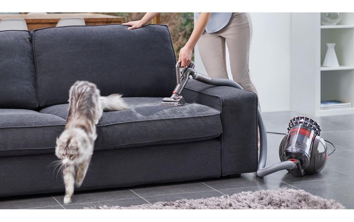 DYSON Bodenstaubsauger »Cinetic Big Ball Absolute 2« 700 W