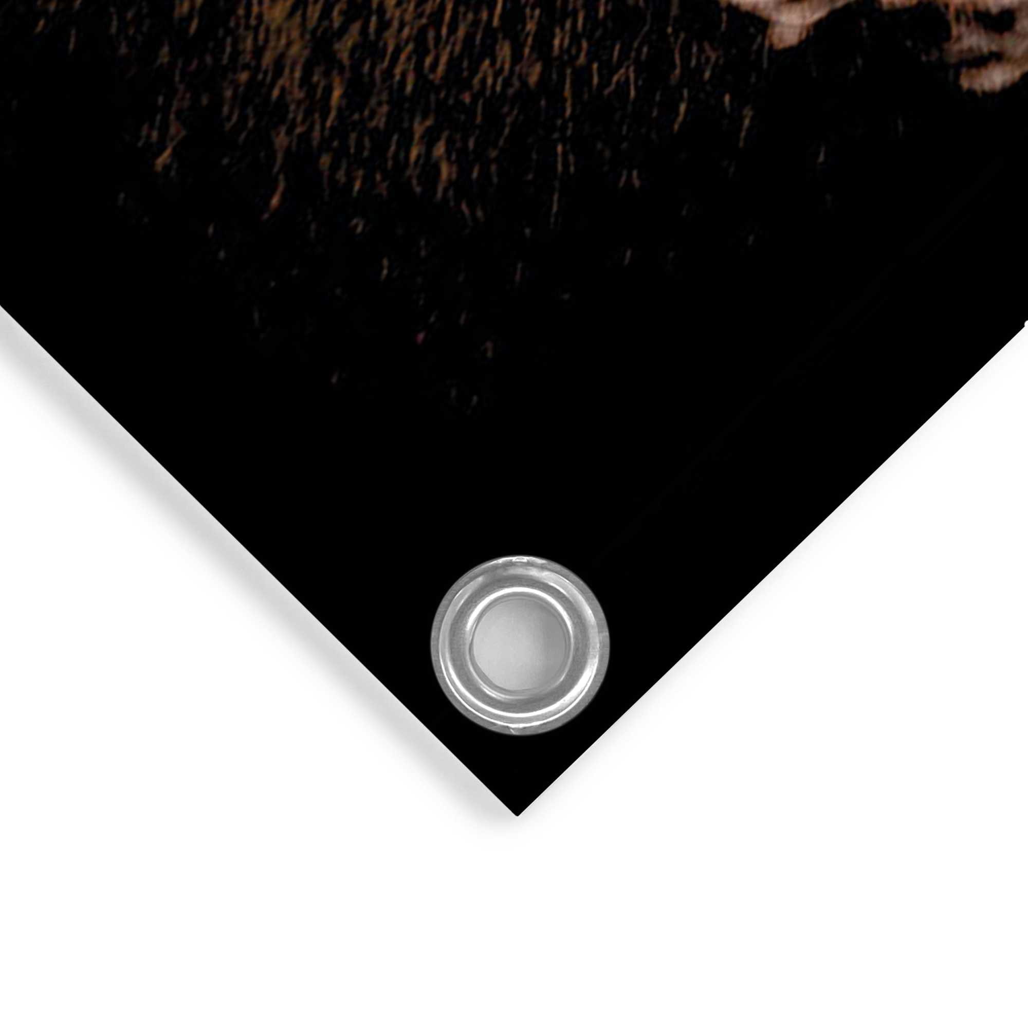 Reinders! Poster »Hirsch« Outdoor für Garten oder Balkon