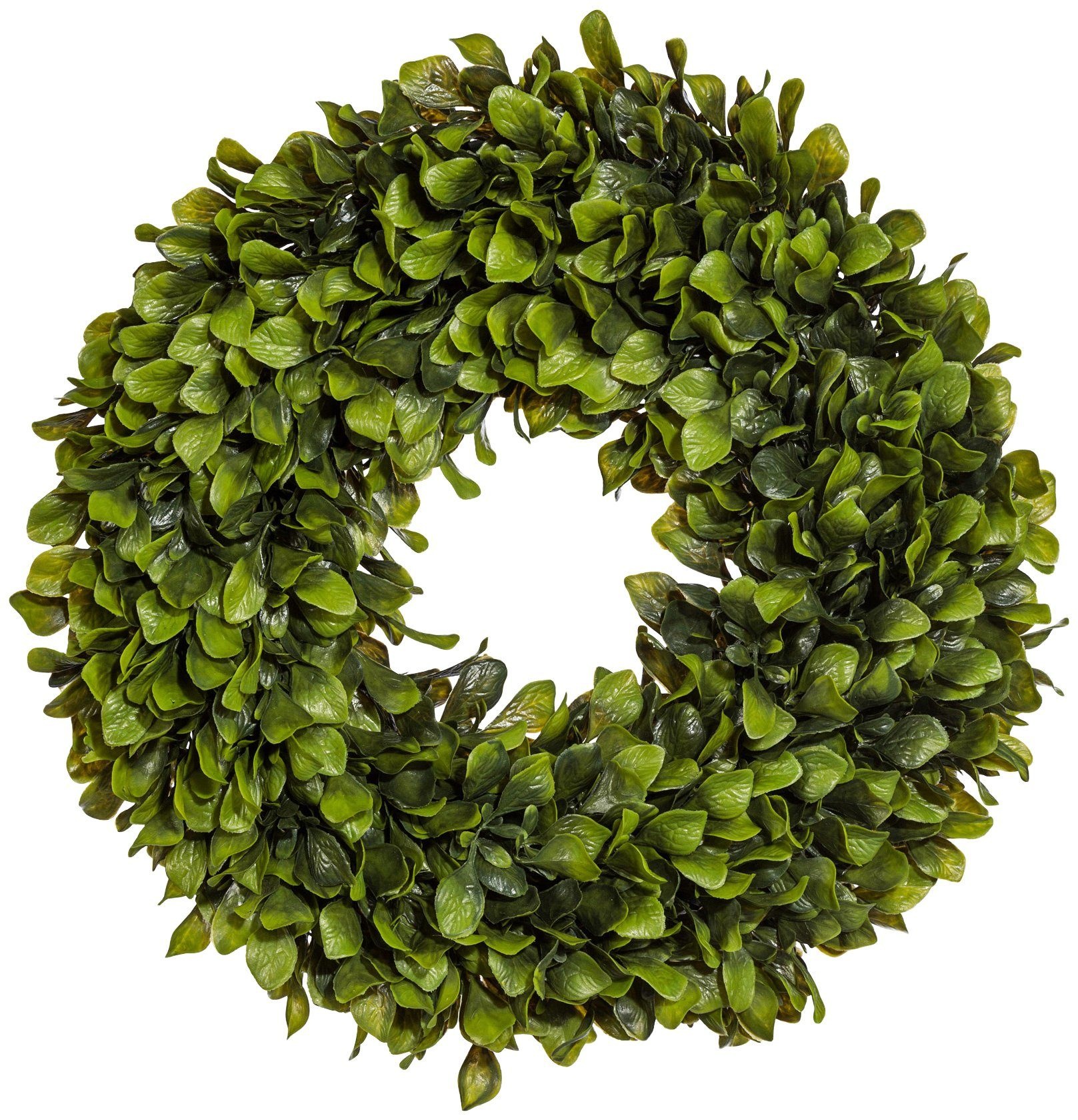 Image of Creativ green Kunstpflanze »Lorbeerkranz«, (1 St.) bei Ackermann Versand Schweiz