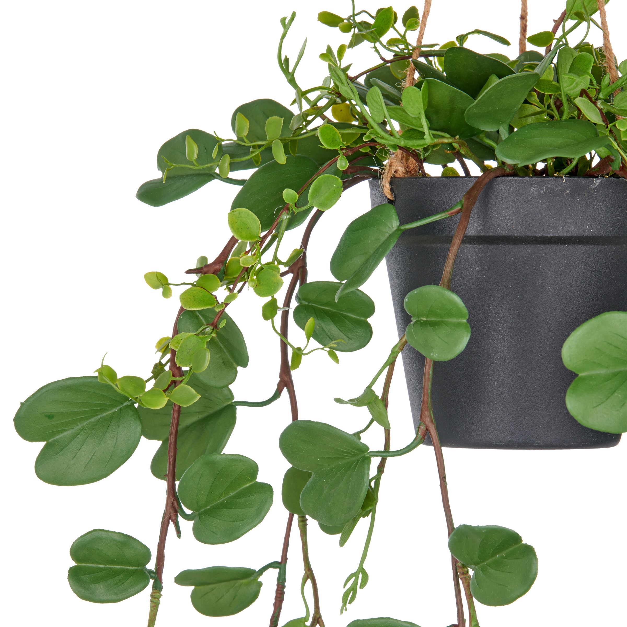 Creativ green Kunstpflanze »Bauhinia«, mit detailgetreuen Blattranken
