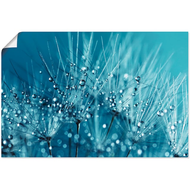 Artland Wandbild »Blaue glitzernde Pusteblume«, Blumen, (1 St.), als  Leinwandbild, Wandaufkleber oder Poster in versch. Grössen