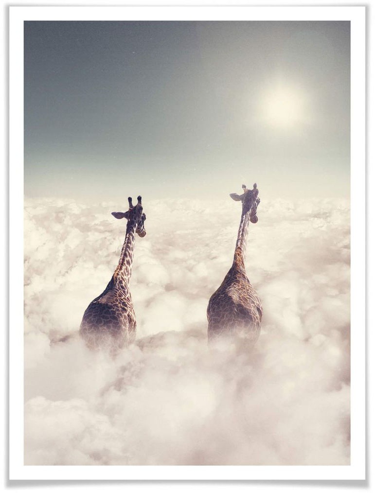 Image of Wall-Art Poster »Safari Giraffen in den Wolken«, Tiere, (1 St.), Poster, Wandbild, Bild, Wandposter bei Ackermann Versand Schweiz