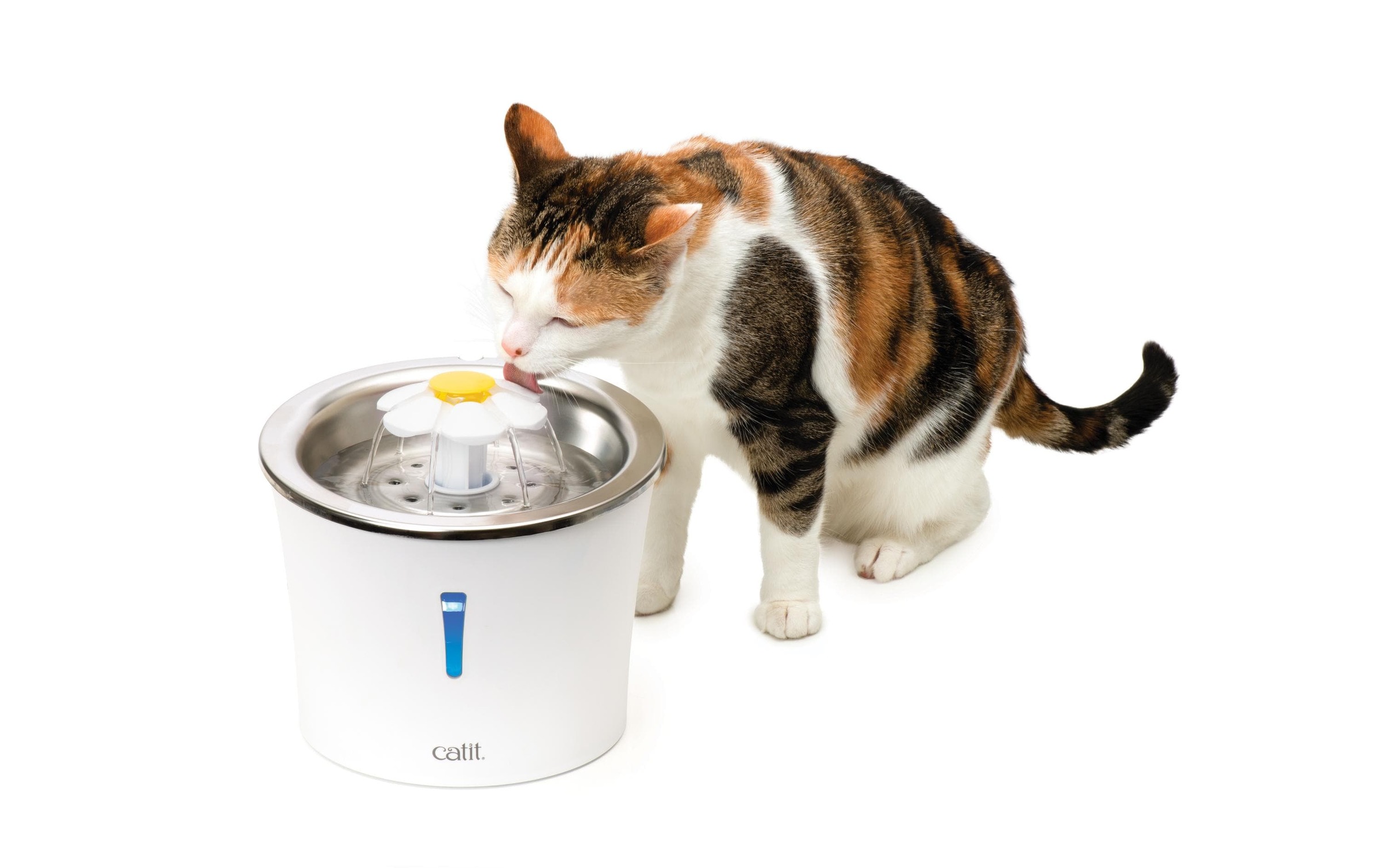 Catit Wasserspender »Flower Fountain«