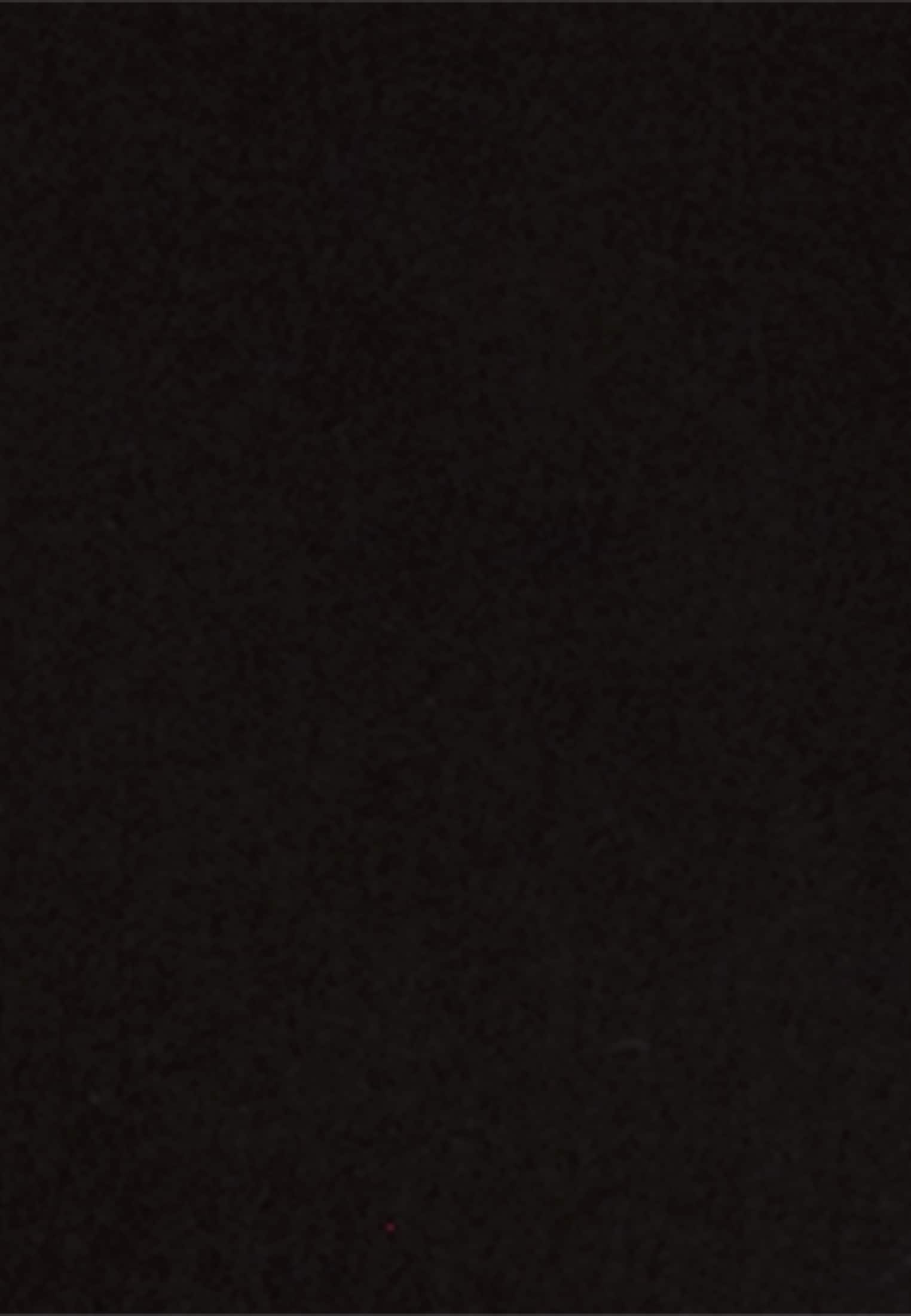 seidensticker Sommerkleid »Schwarze Rose« Kragen Uni