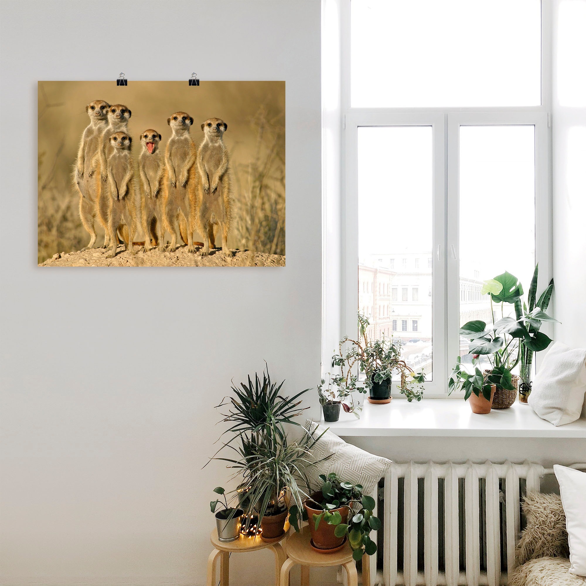 Artland Wandbild »Erdmännchen Familie«, Wildtiere, (1 St.), als Alubild, Outdoorbild, Leinwandbild, Poster, Wandaufkleber