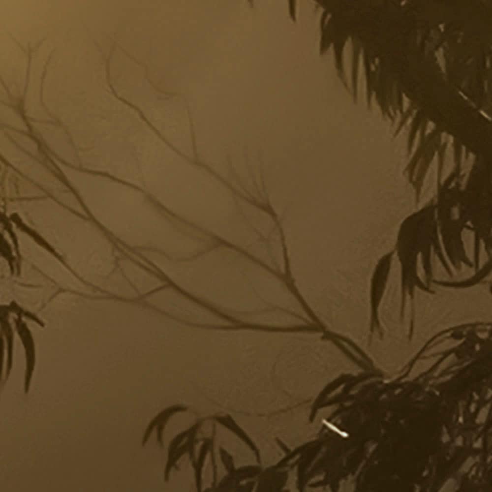 Komar Fototapete »Digitaldruck Vlies -  Foggy Sunshine - Grösse 400 x 250 cm« bedruckt glatt Wohnzimmer, Schlafzimmer