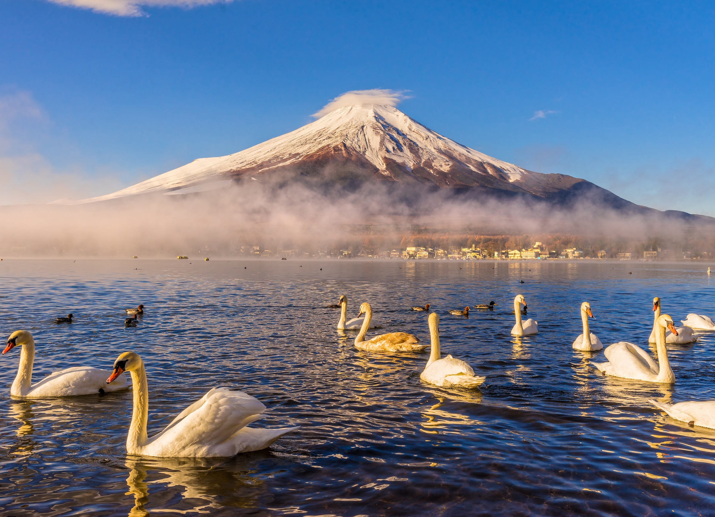Image of Papermoon Fototapete "Mount Fuji" glatt