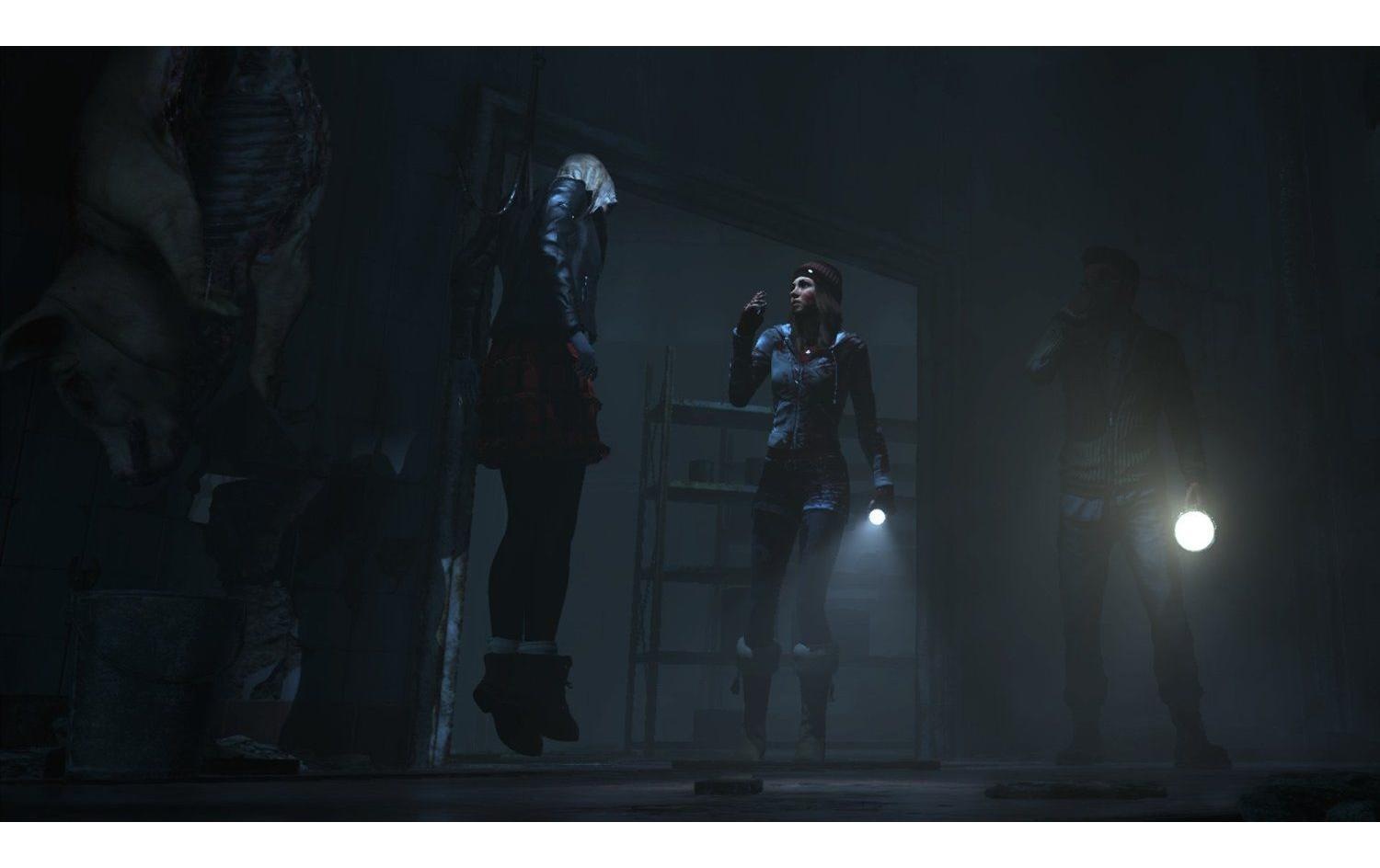 Sony Logiciel de jeu »Until Dawn« PlayStation 4