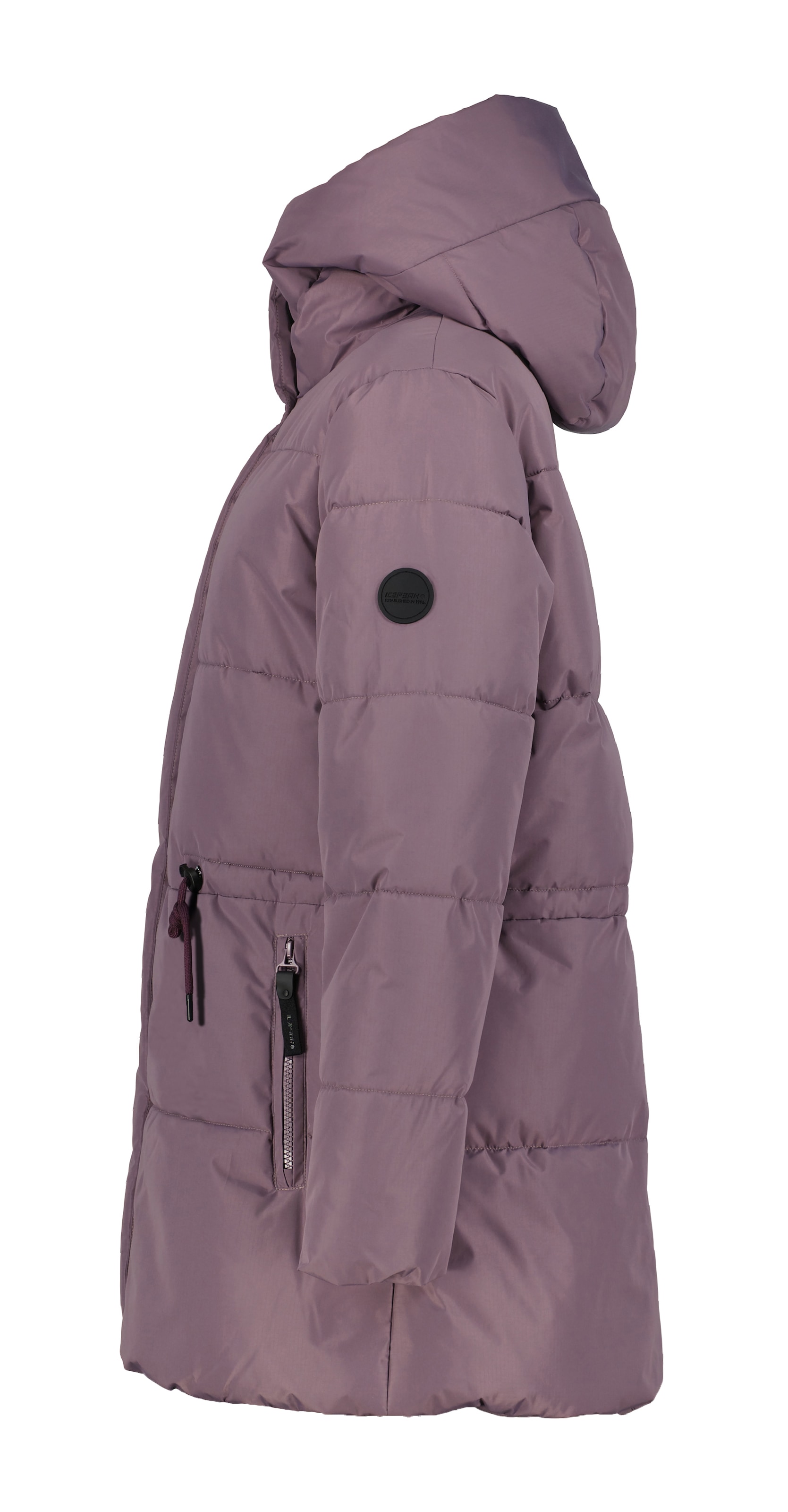 Icepeak Steppjacke »D STEPPJACKE ADRIAL«, mit Kapuze, Wasserabweisend & Wasserdicht & Winddicht