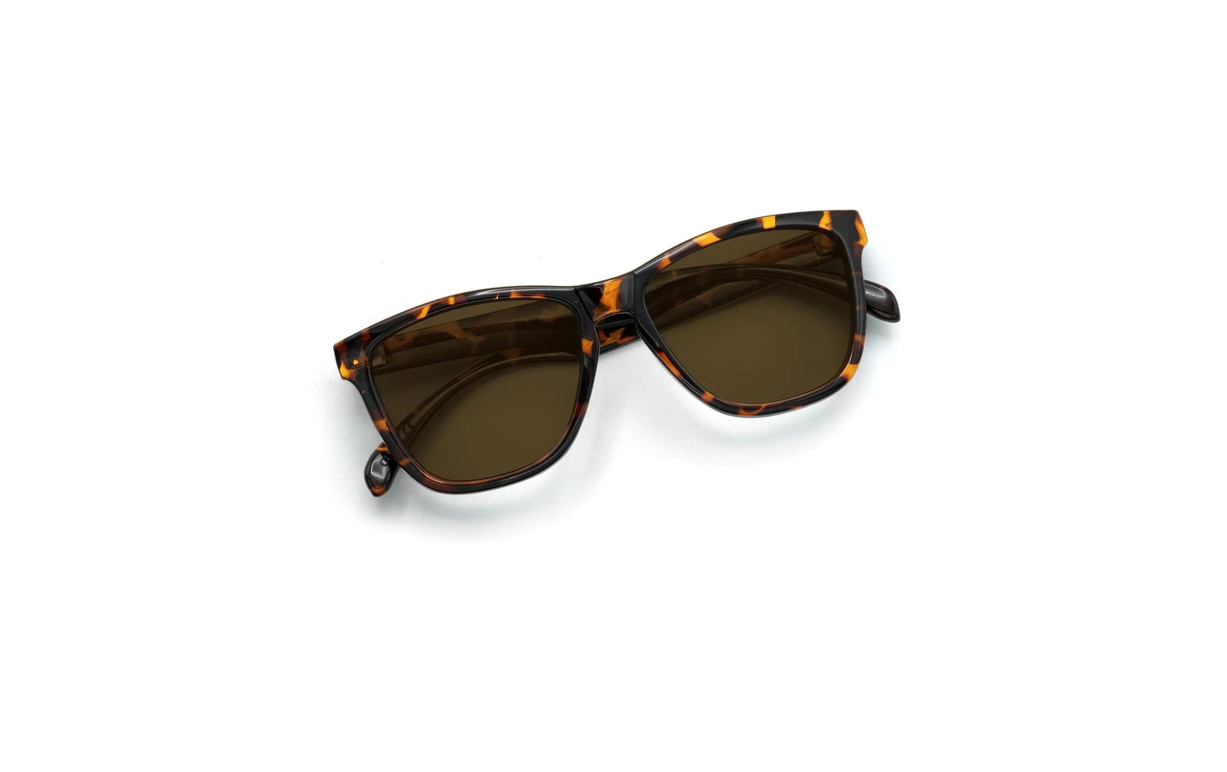 Sonnenbrille »Nectar Sonnenbrille Crux Chucktown Glossy«