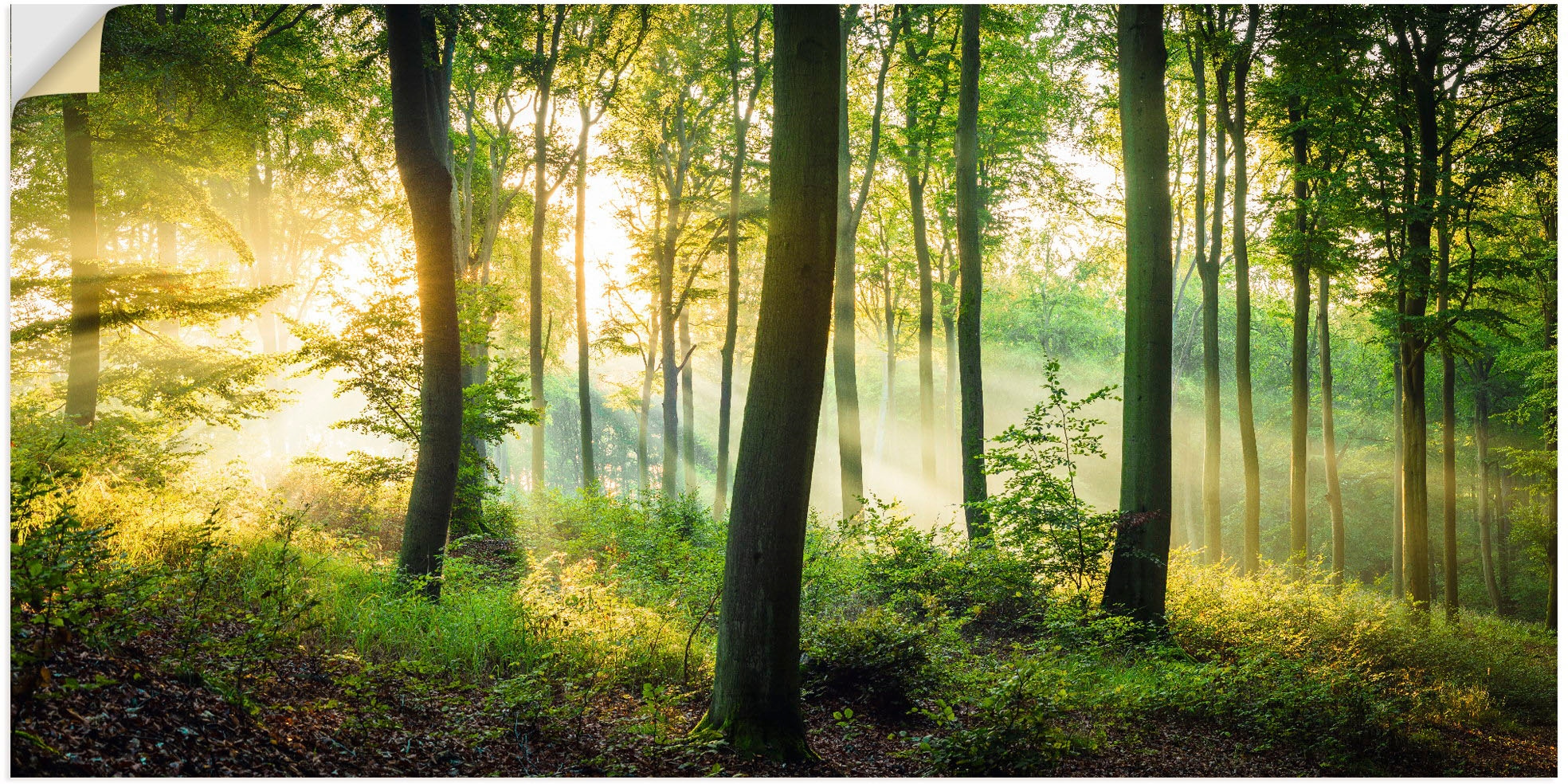 Artland Wandbild »Herbst im Wald II«, Waldbilder, (1 St.), als Alubild, Outdoorbild, Leinwandbild, Poster, Wandaufkleber