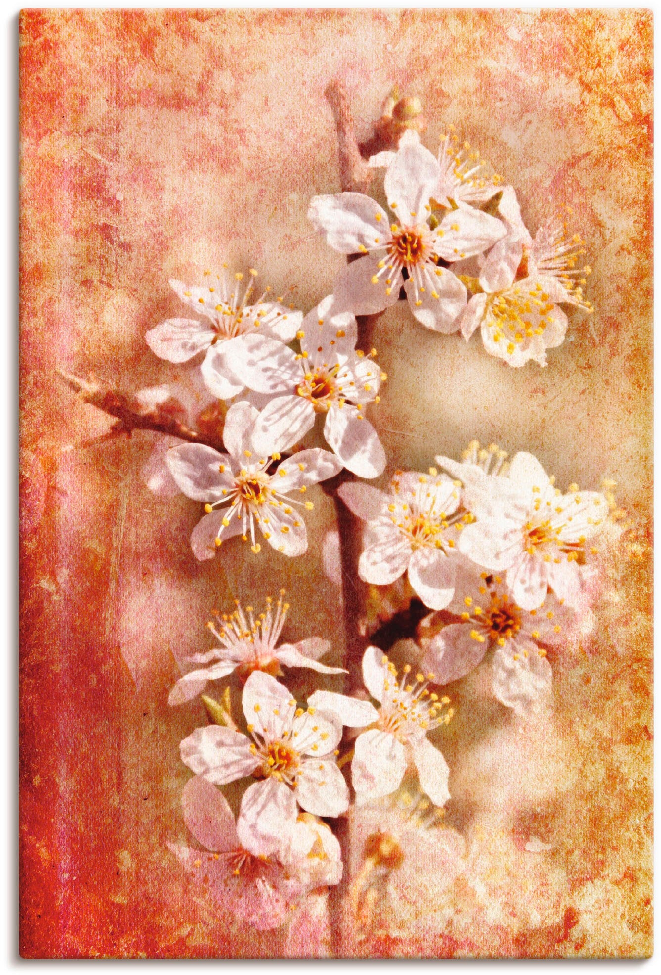 Image of Artland Wandbild "Kirschblüten" Blumen 1 Stk. tlg. als Leinwandbild, Poster in verschied. Grössen