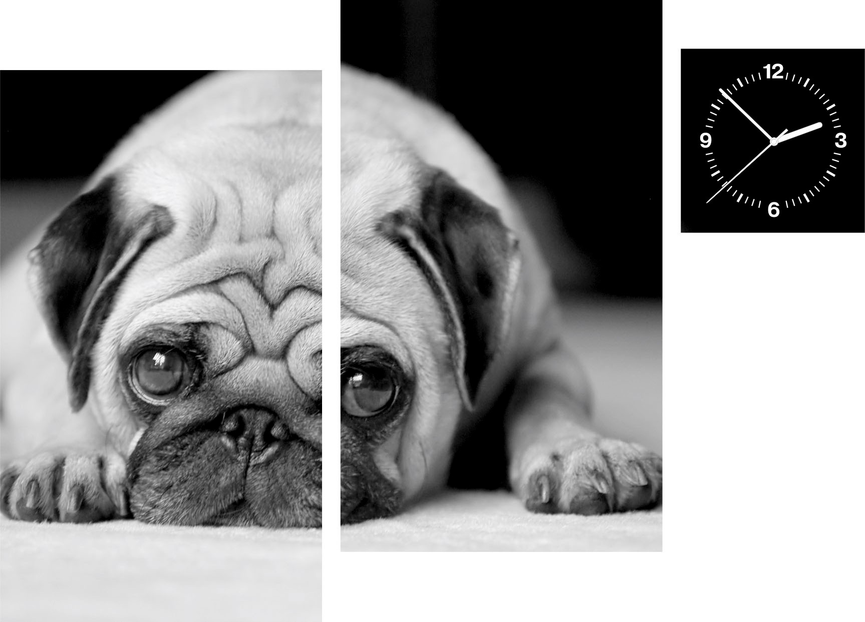 Image of Conni Oberkircher´s Bild »Lovable - Mops«, Hunde, (Set, (Set 3), mit dekorativer Uhr, Haustier, Tierfreund bei Ackermann Versand Schweiz