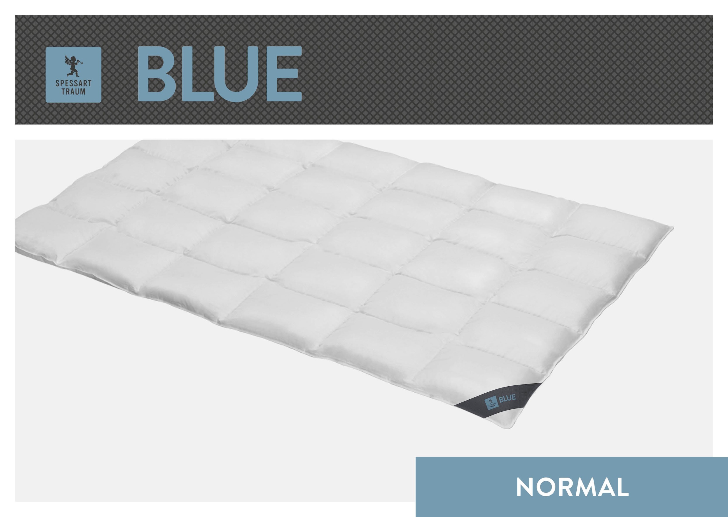 Image of SPESSARTTRAUM Daunenbettdecke "Blue" normal Füllung 60Daunen40Federn 1 Stk. tlg. hergestellt in Deutschland, allergikerfreundlich