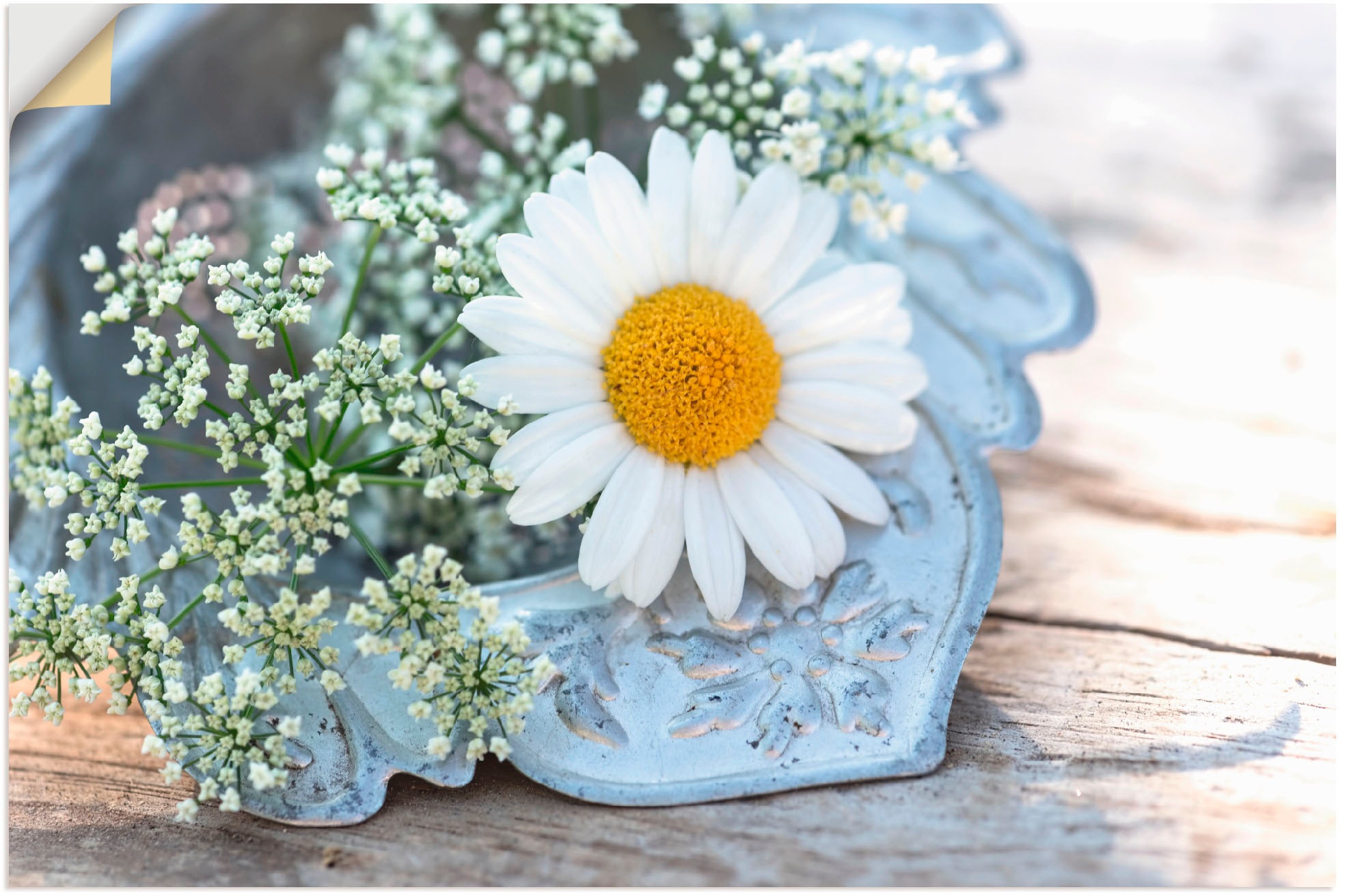 Image of Artland Wandbild »Zarte Margeriten Blüte«, Blumen, (1 St.), in vielen Grössen & Produktarten - Alubild / Outdoorbild für den Aussenbereich, Leinwandbild, Poster, Wandaufkleber / Wandtattoo auch für Badezimmer geeignet bei Ackermann Versand Schweiz